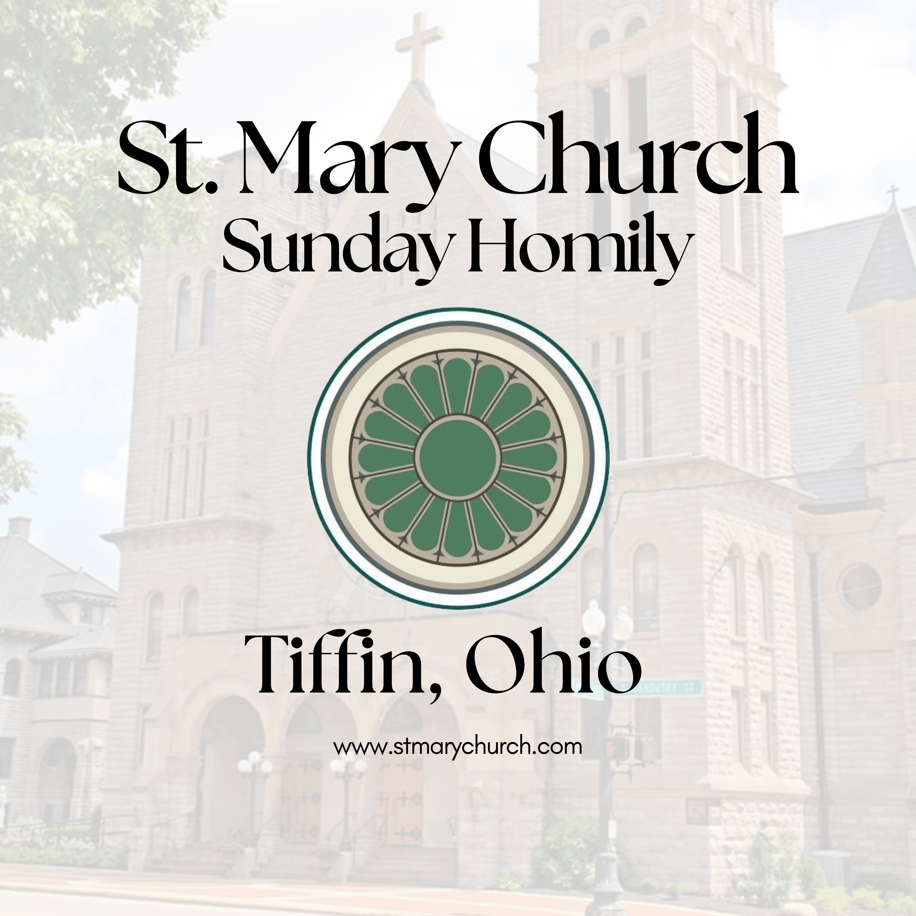 Homily Highlight | 23rd Sunday in Ordinary Time episode artwork