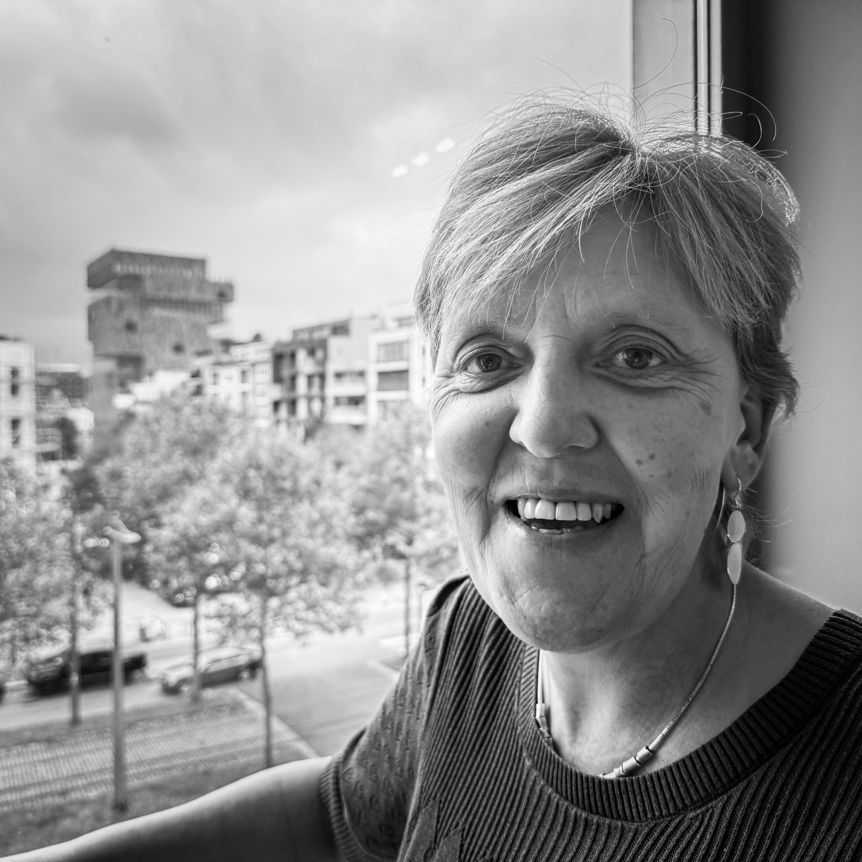 Het Stadsjuweel/Bijou de ville/City Jewel - Trauma recognition through art