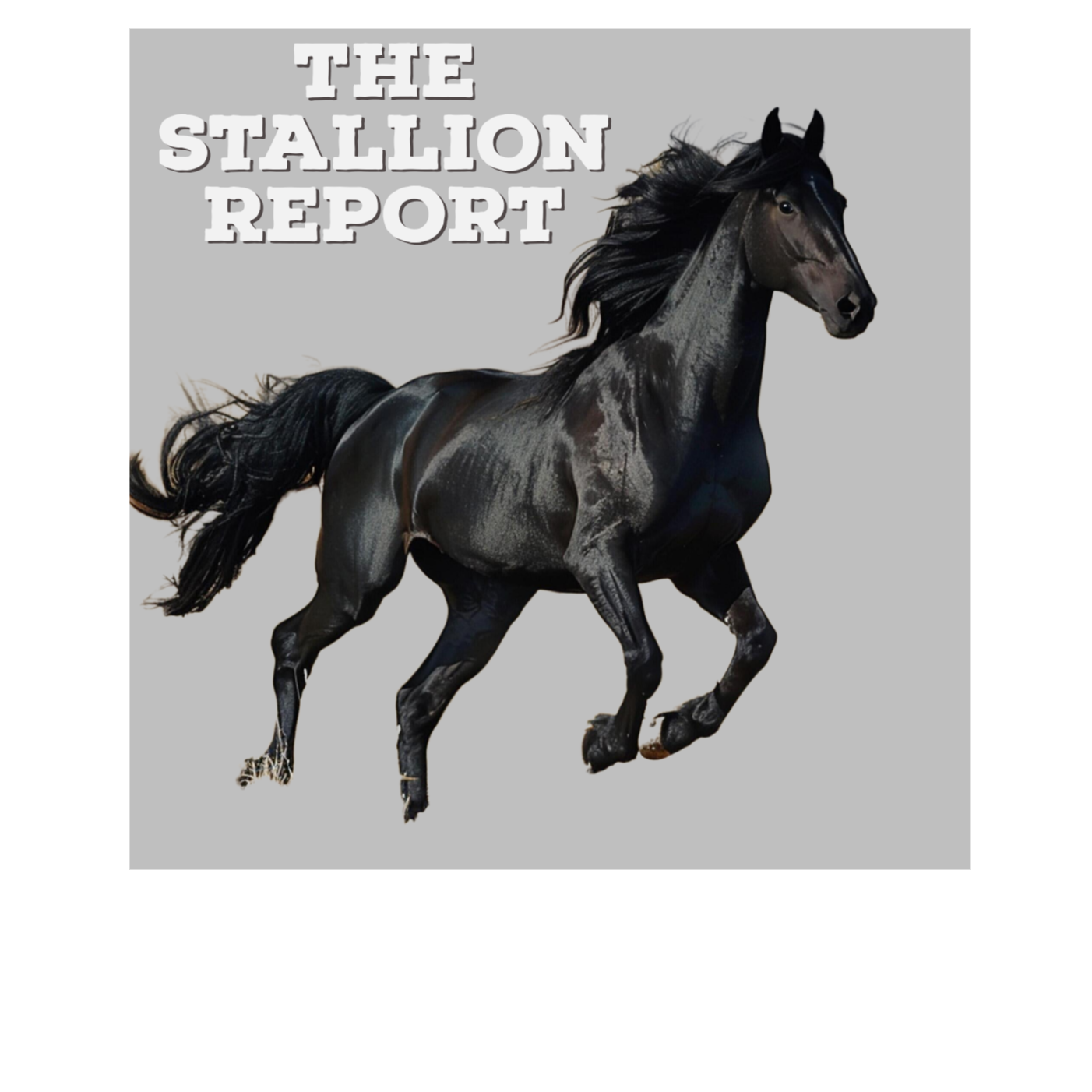 Stallion Report  - Episode One podcast artwork