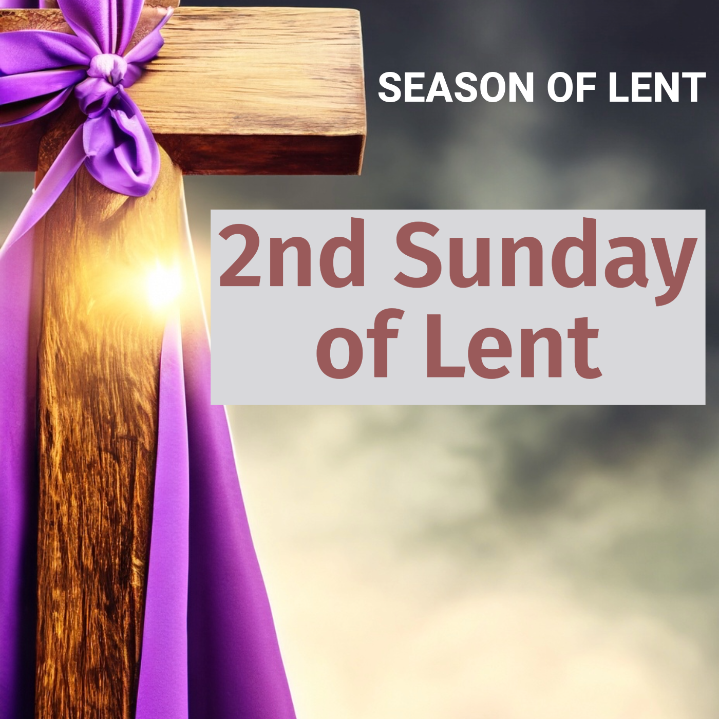 Homily February 25, 2024 episode artwork