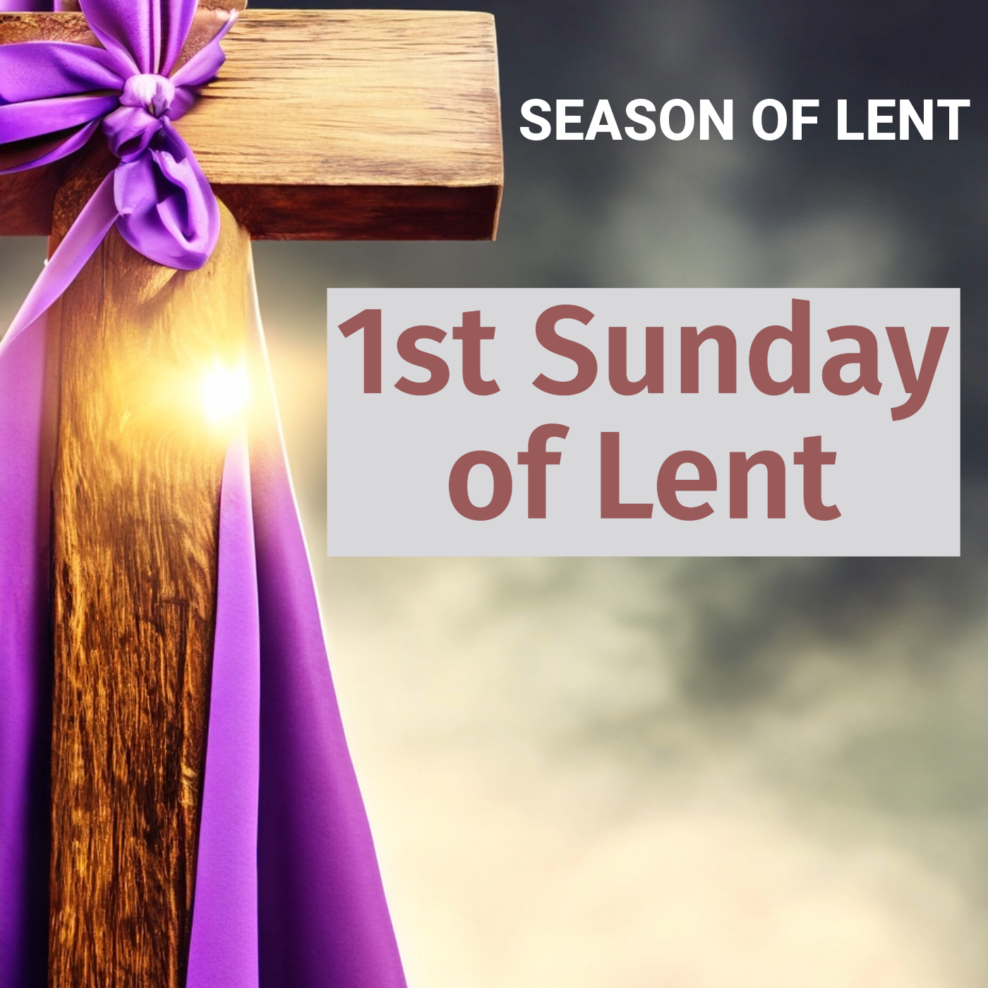 Homily February 18, 2024 episode artwork
