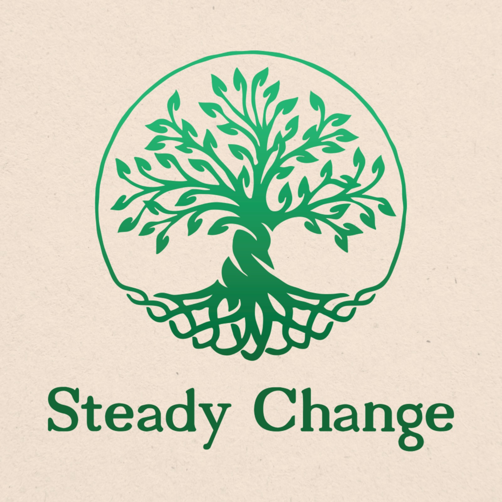 Steady Change cover art