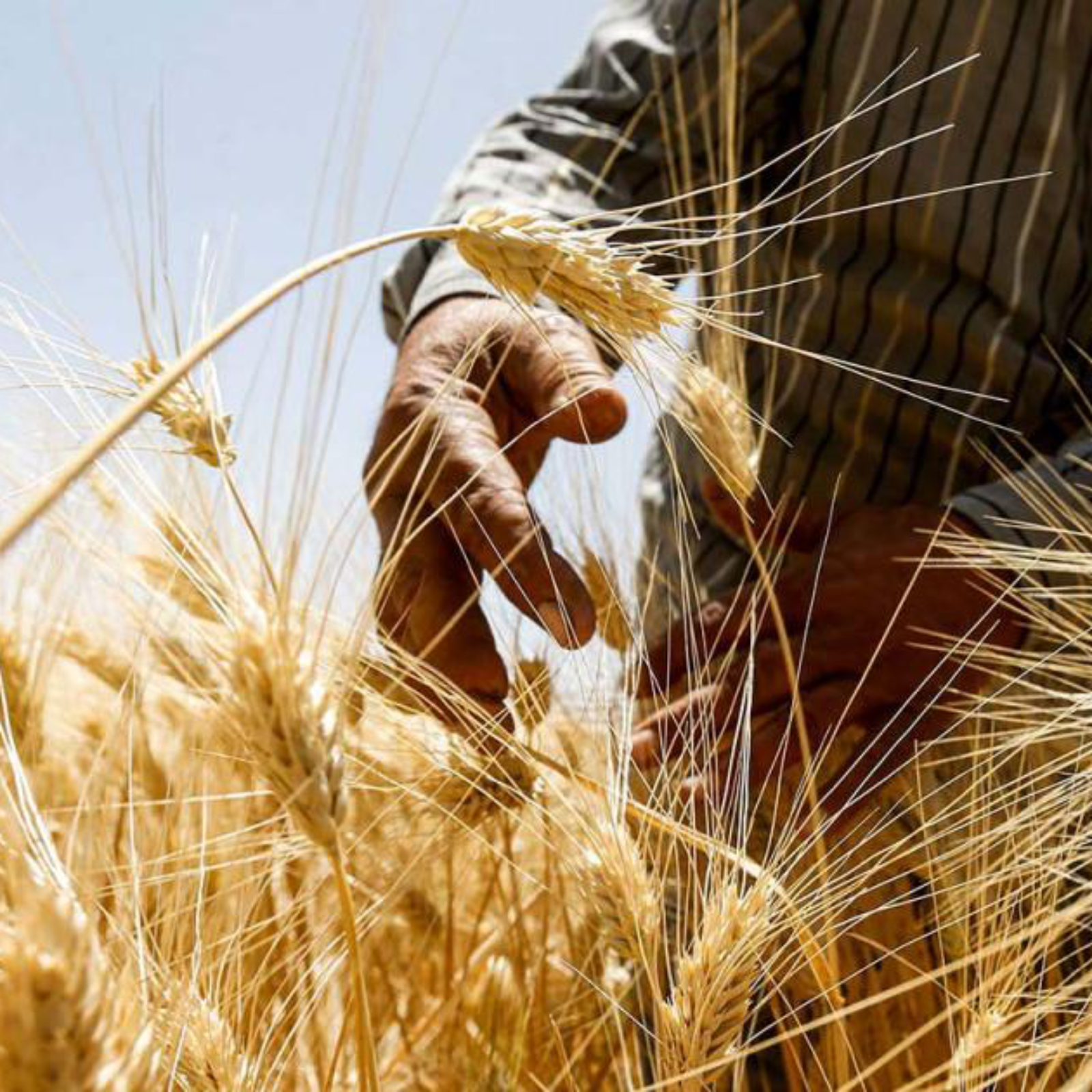 St. Ed\'s MW Podcast