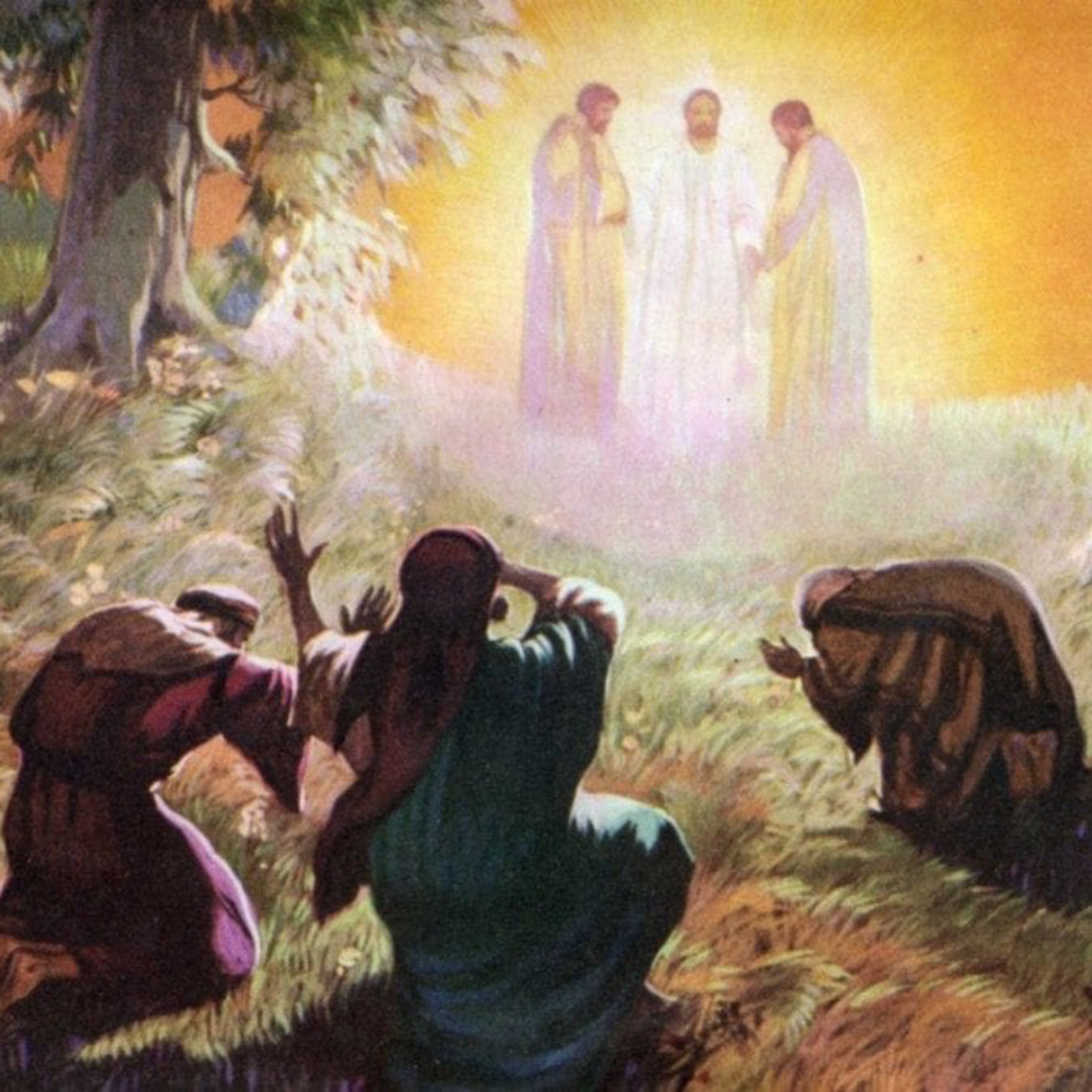 15/02/26 The Transfiguration - Matthew 17:1-9 episode artwork