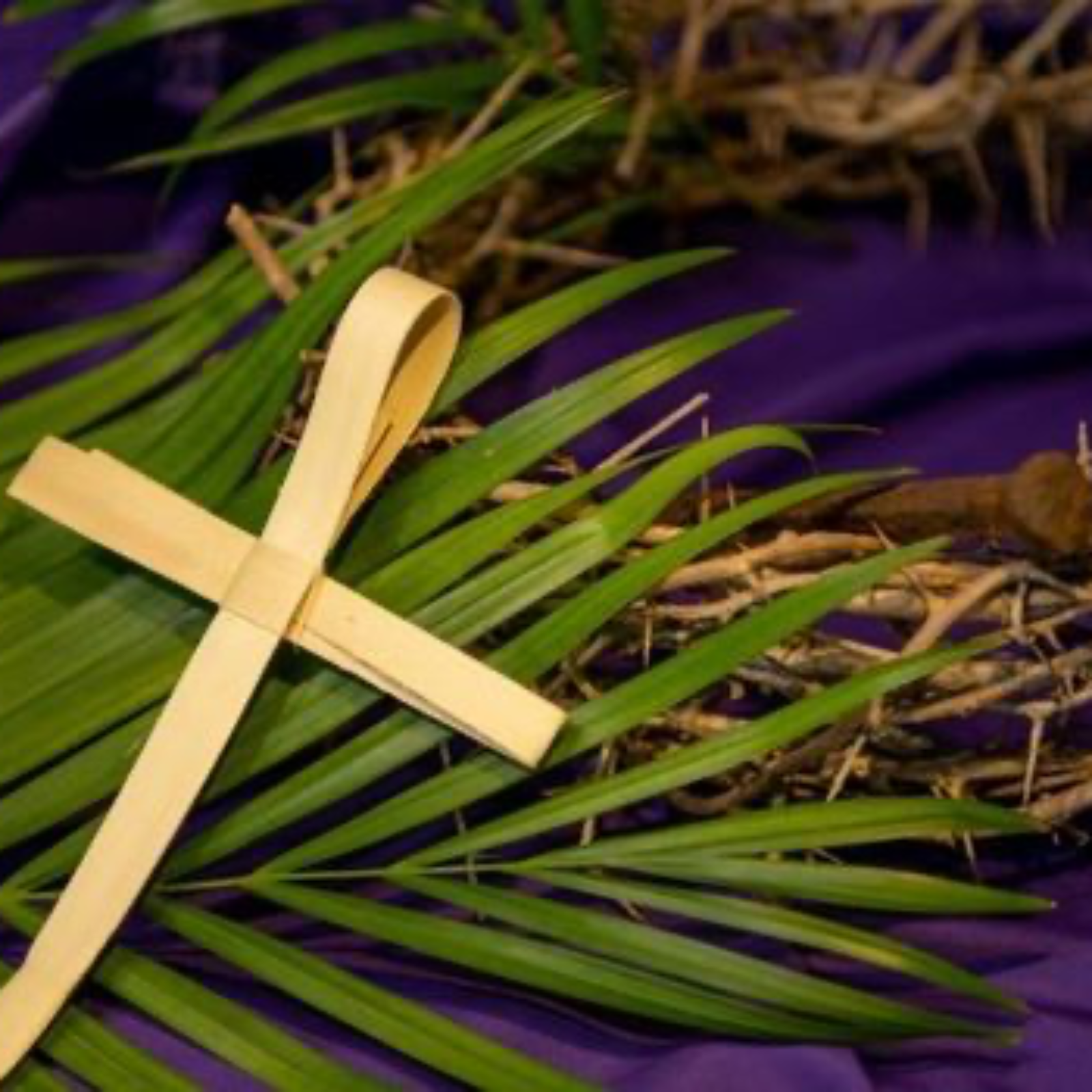 29/03/26 Palm Sunday - Matthew 21:1-11 episode artwork