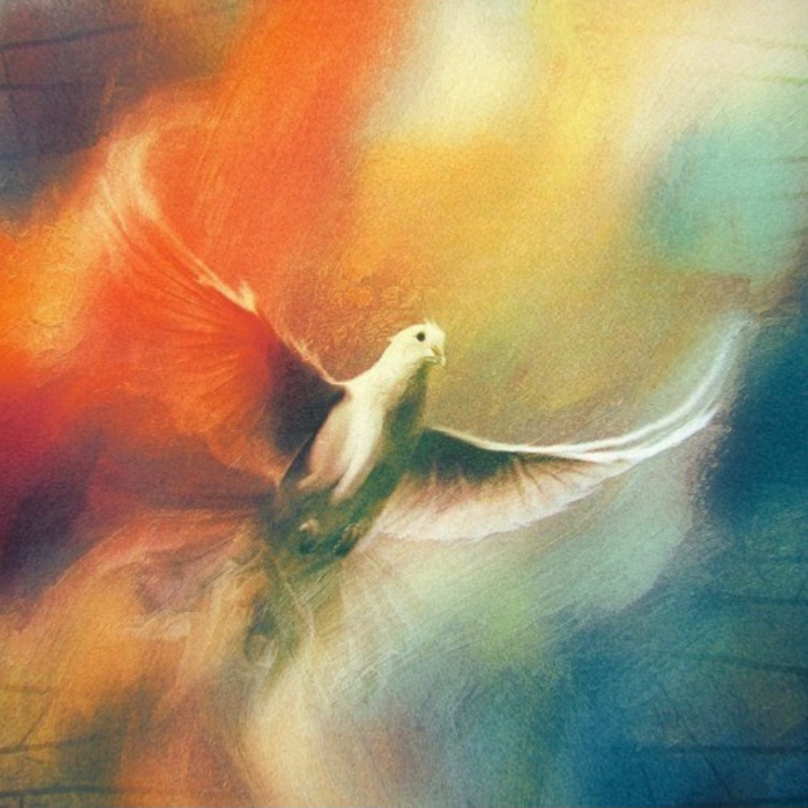 17/05/26 Prayer series 5 - The Intercessor - Romans 8:26–34 episode artwork