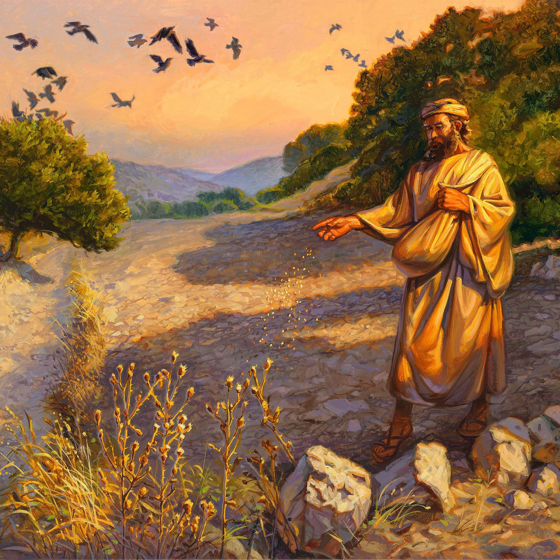 12/07/26 Parable of the Sower - Matthew 13:1-9,18-23 episode artwork