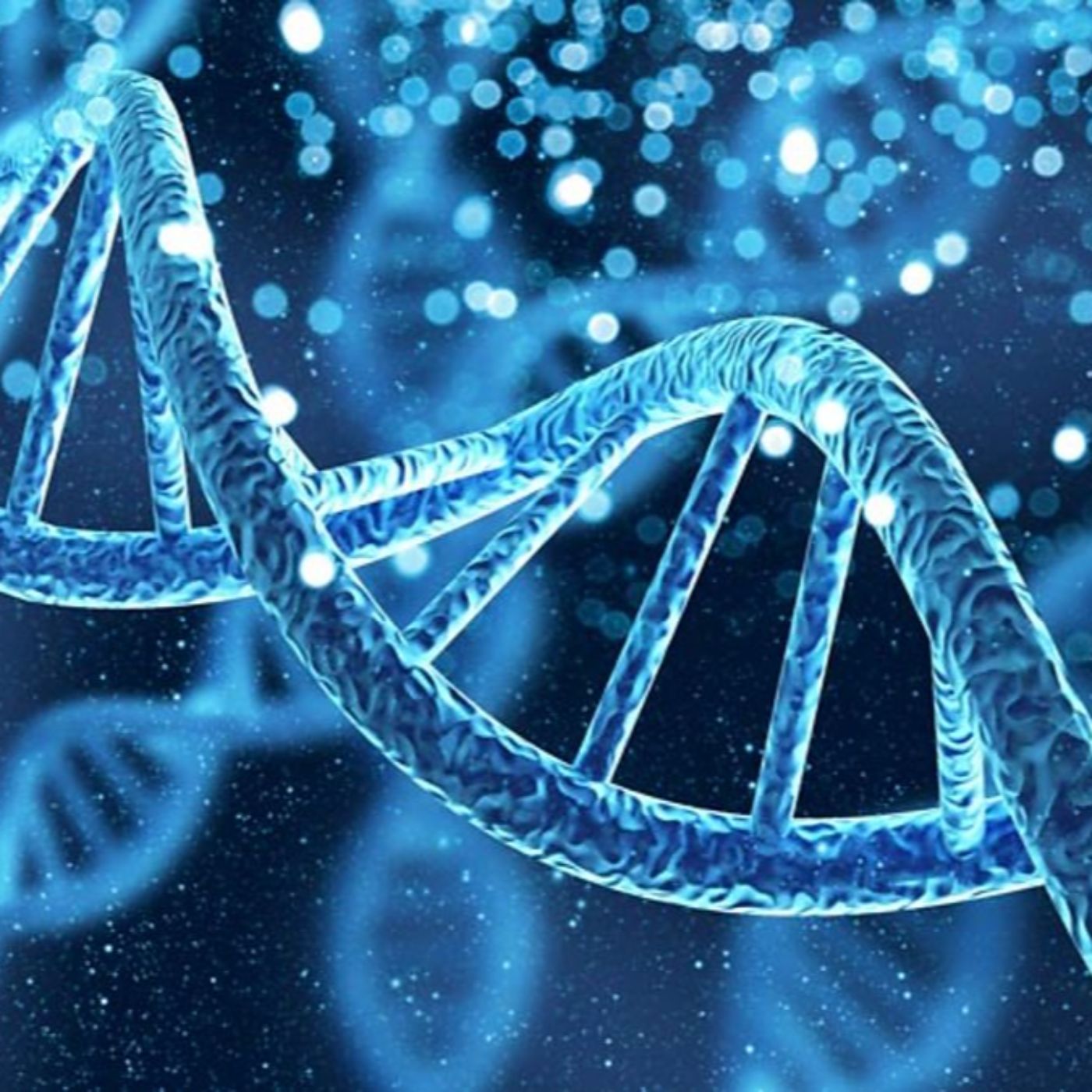 11:11 Gateway Transmission. Weaving New Light Codes into Your DNA and Future Timeline episode artwork