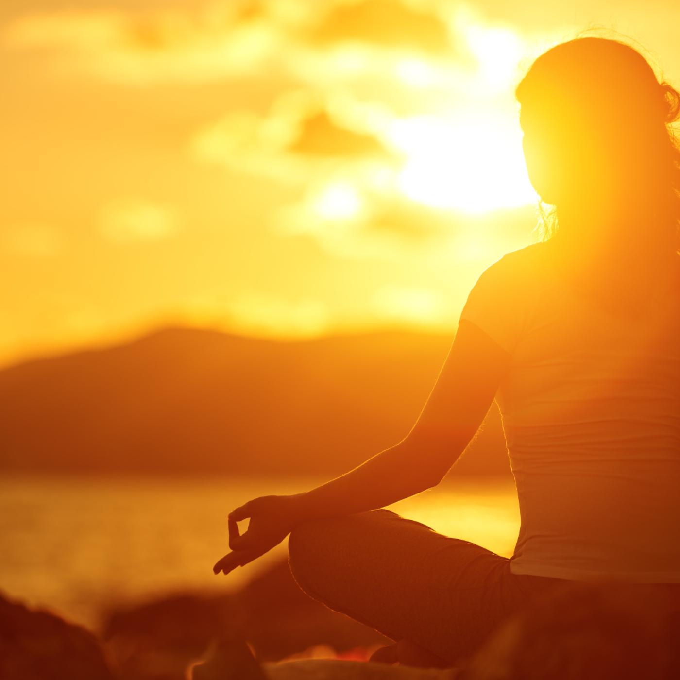 Living on Light Transmission: Expanding Your Capacity for Absorbing Prana episode artwork