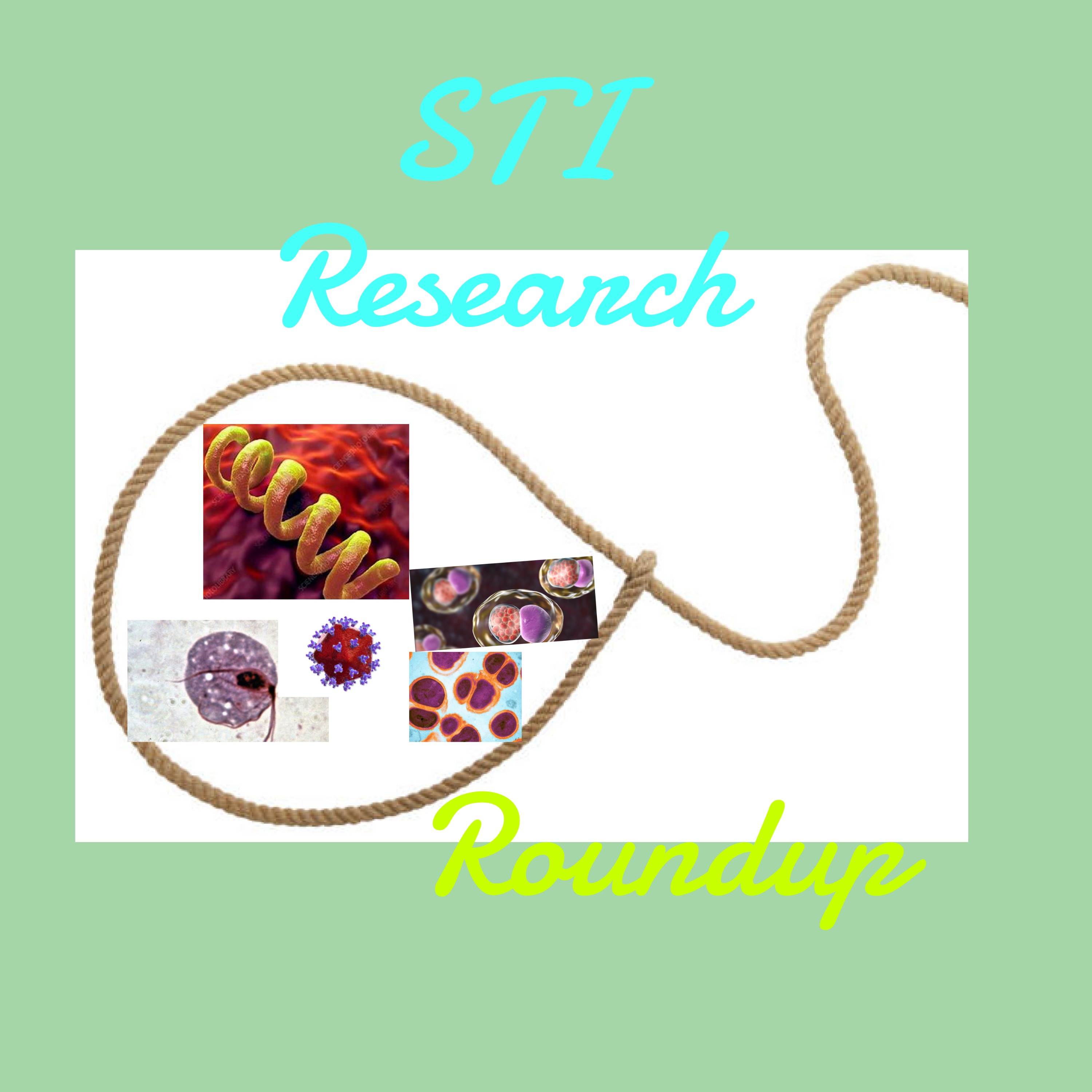 STI Research Roundup (STIRR)