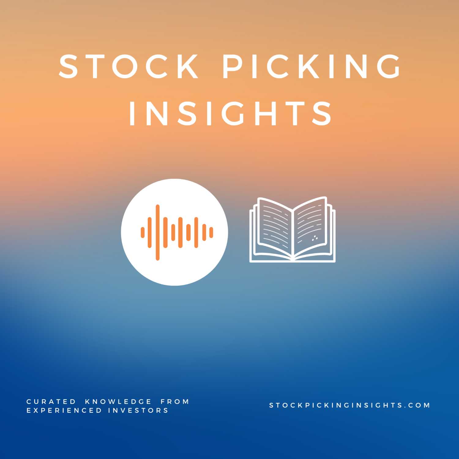 Stock Picking Insights - Investing Podcast - Audio Support