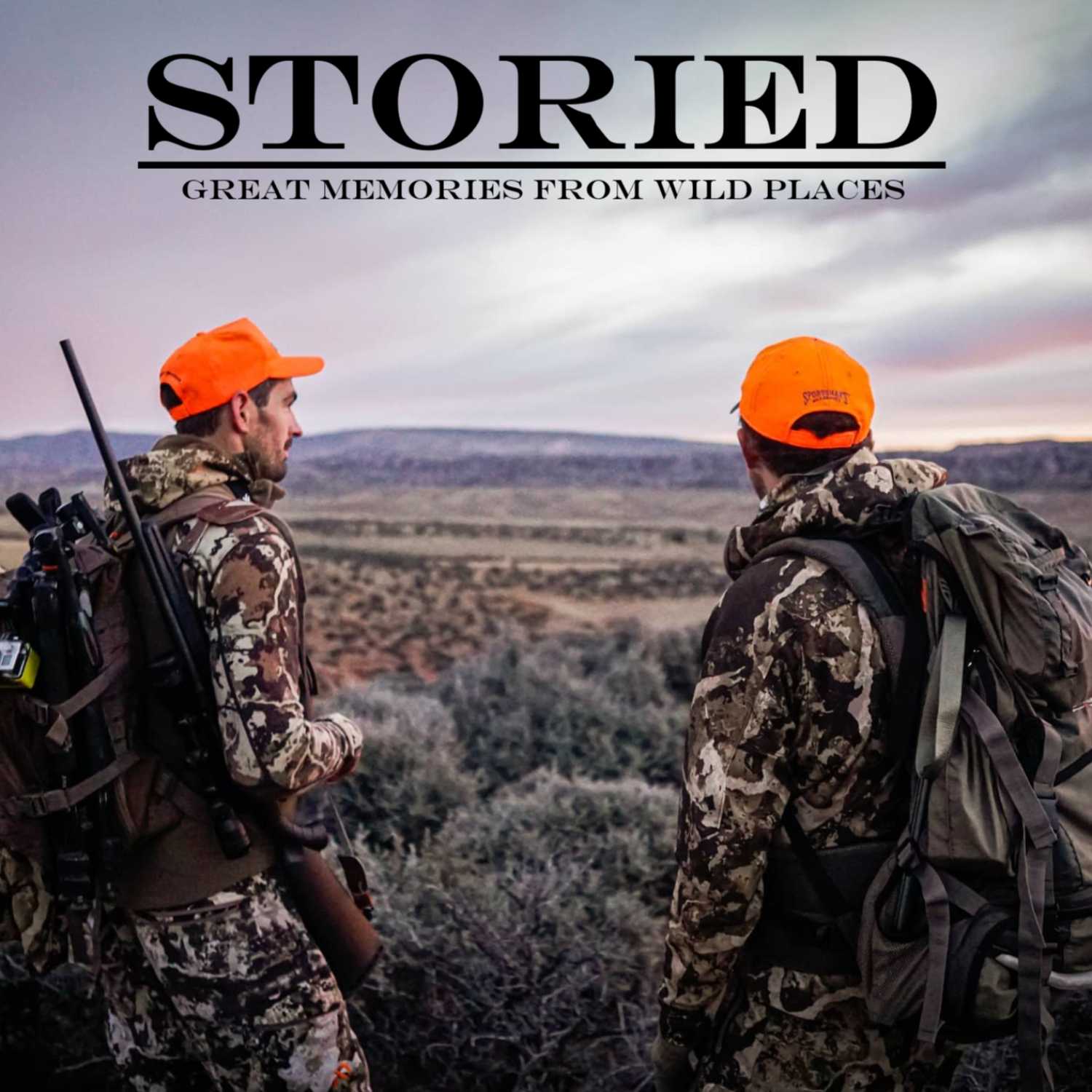 Storied