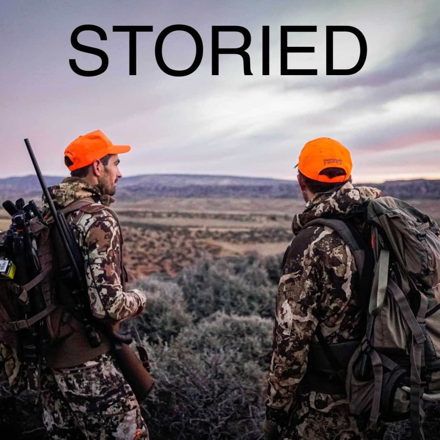 Storied