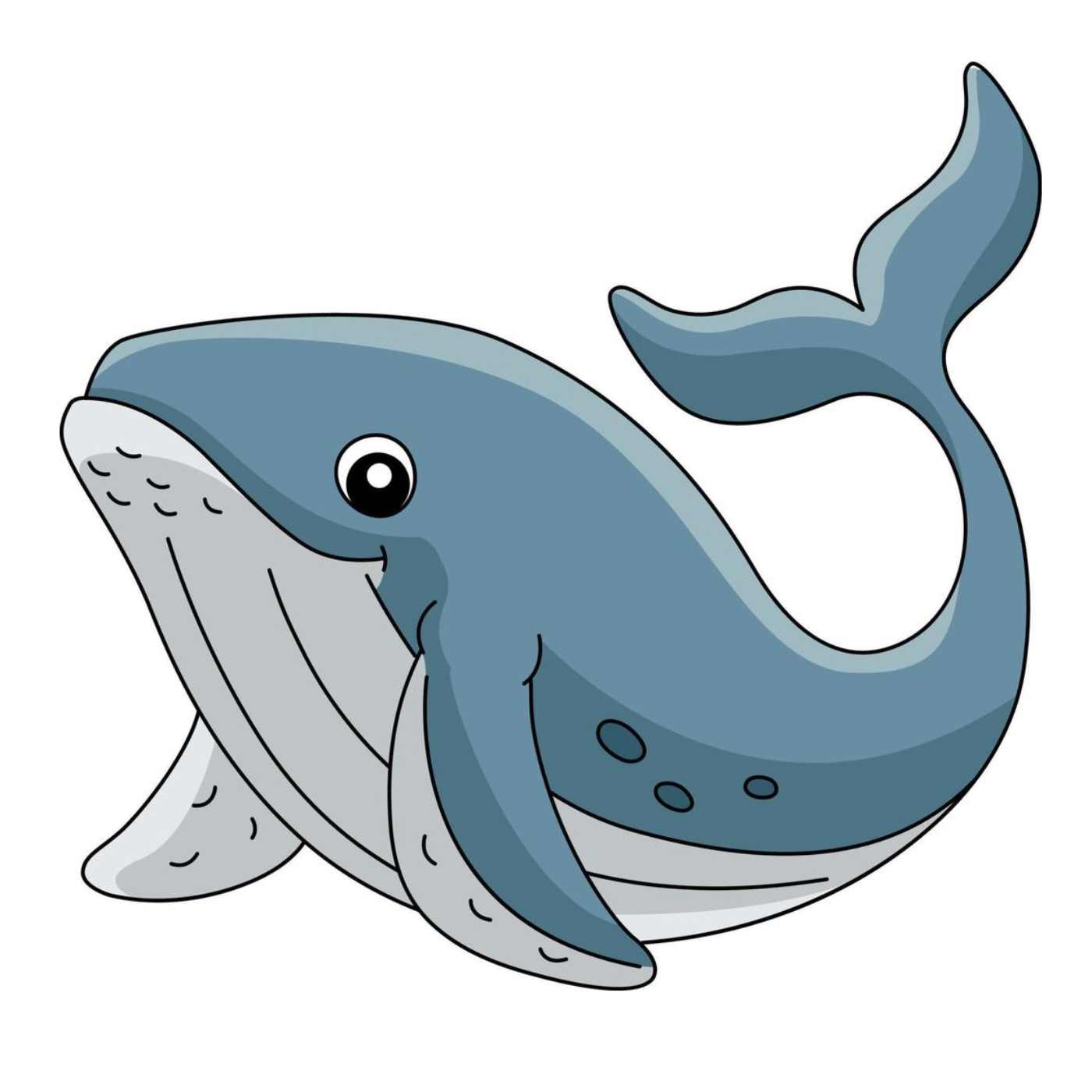 Whale