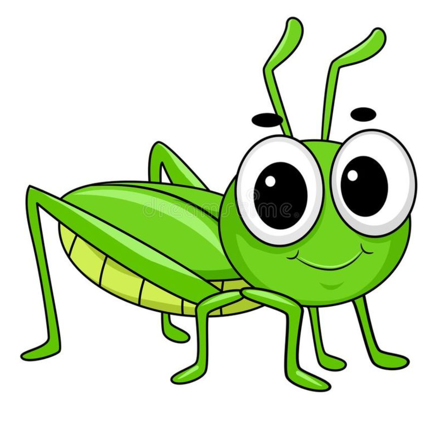 Grasshopper