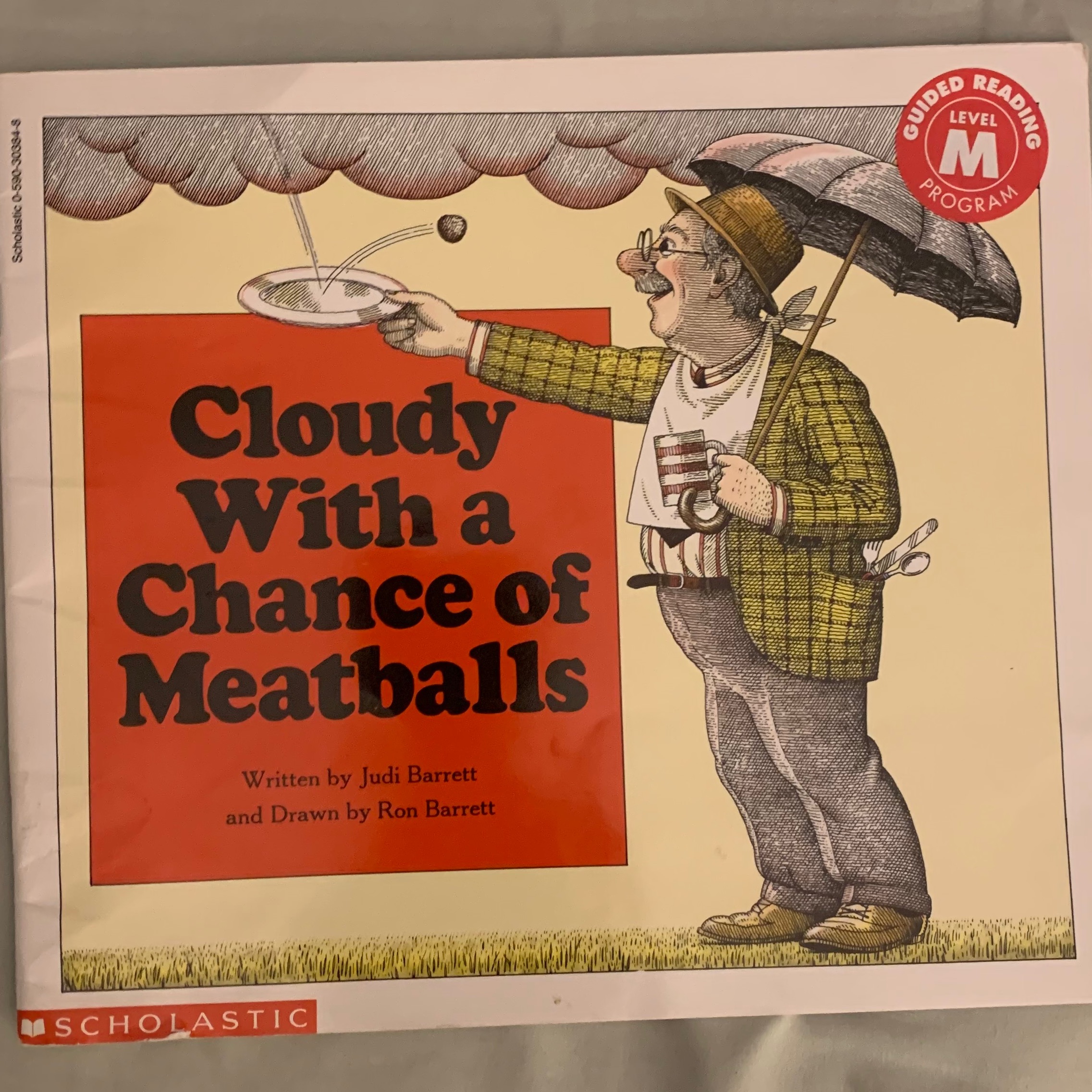 Cloudy with a chance of Meatball