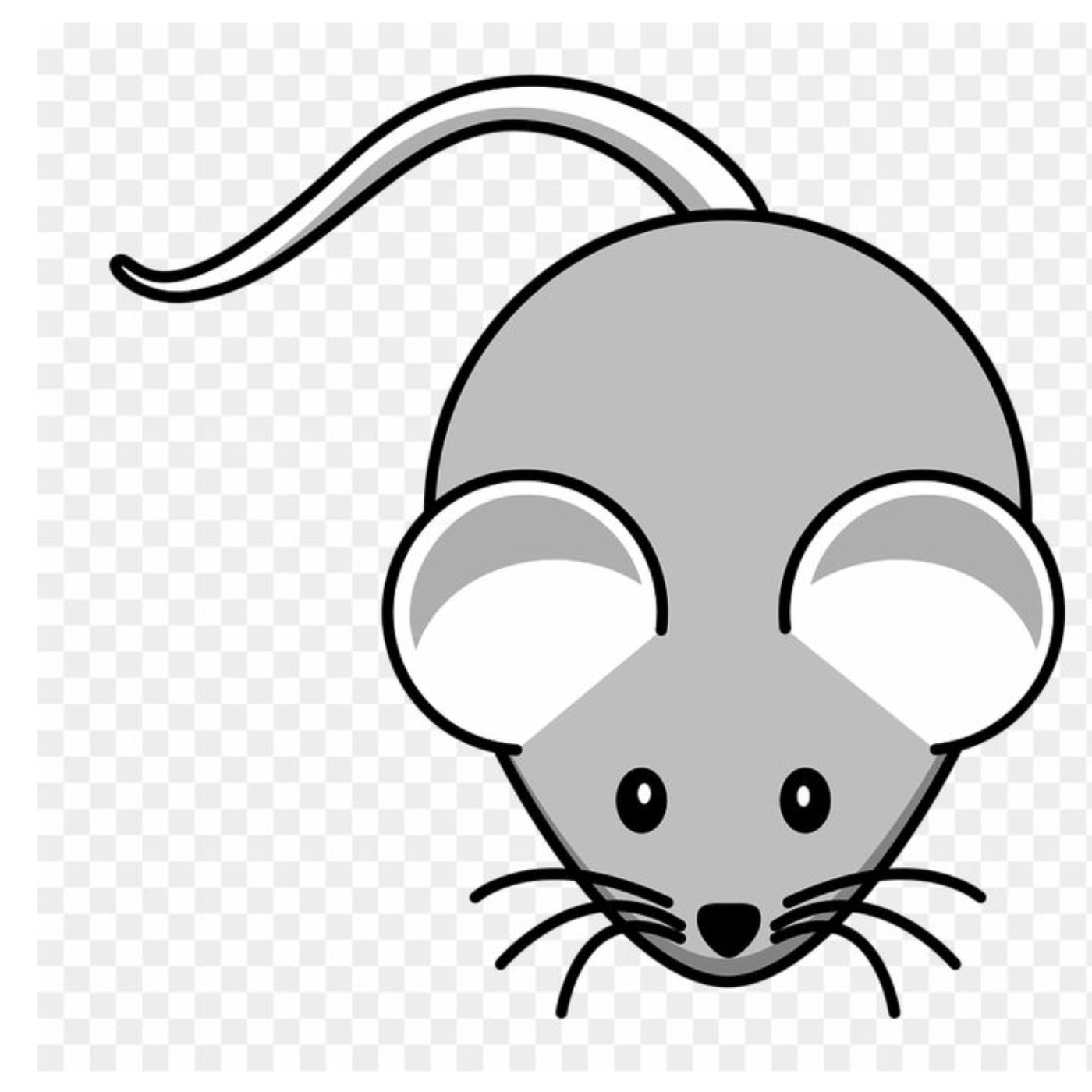 Mice 