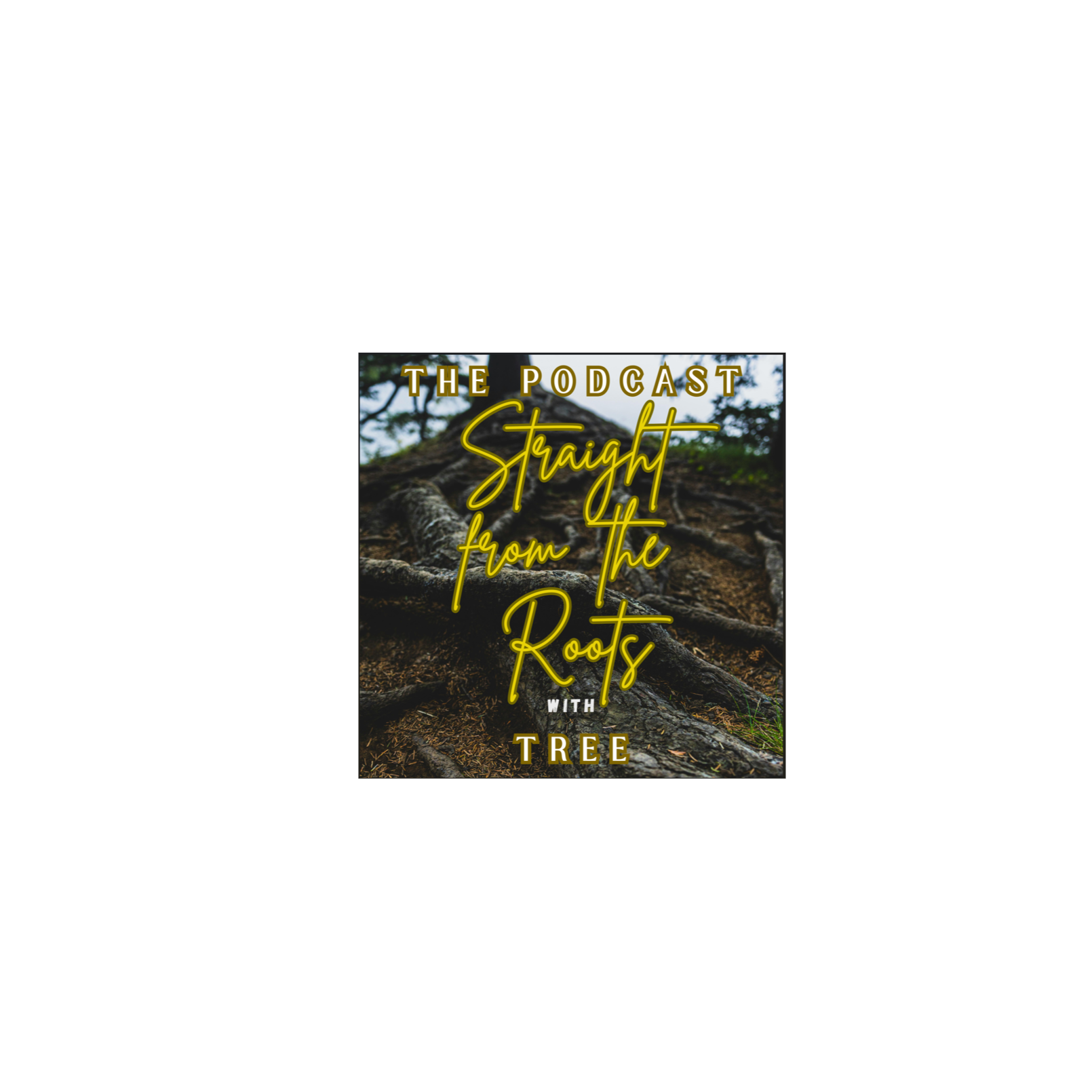 Straight from the Roots cover art