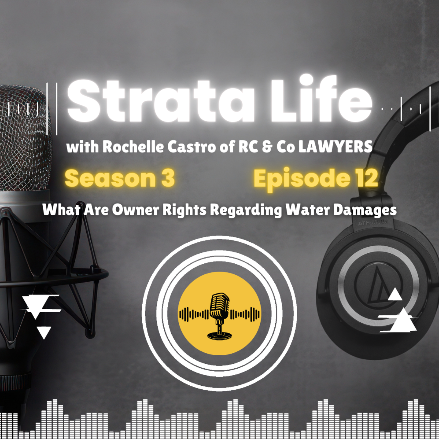 What Are Owner Rights Regarding Water Damages (S3: Episode 12)