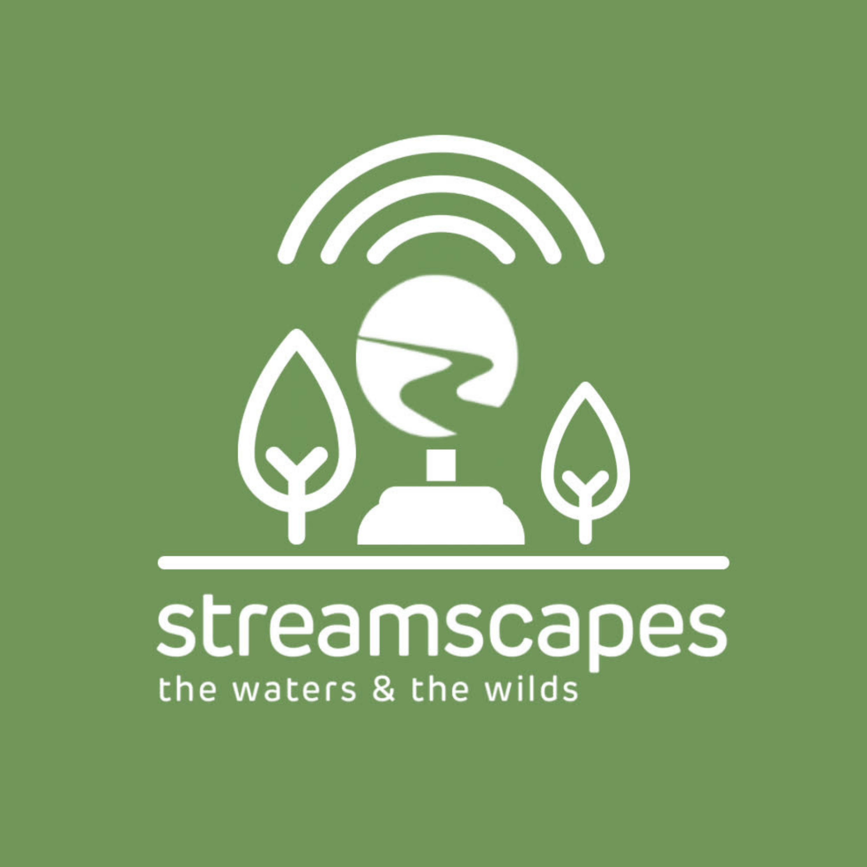 StreamScapes: Voices of the Catchment