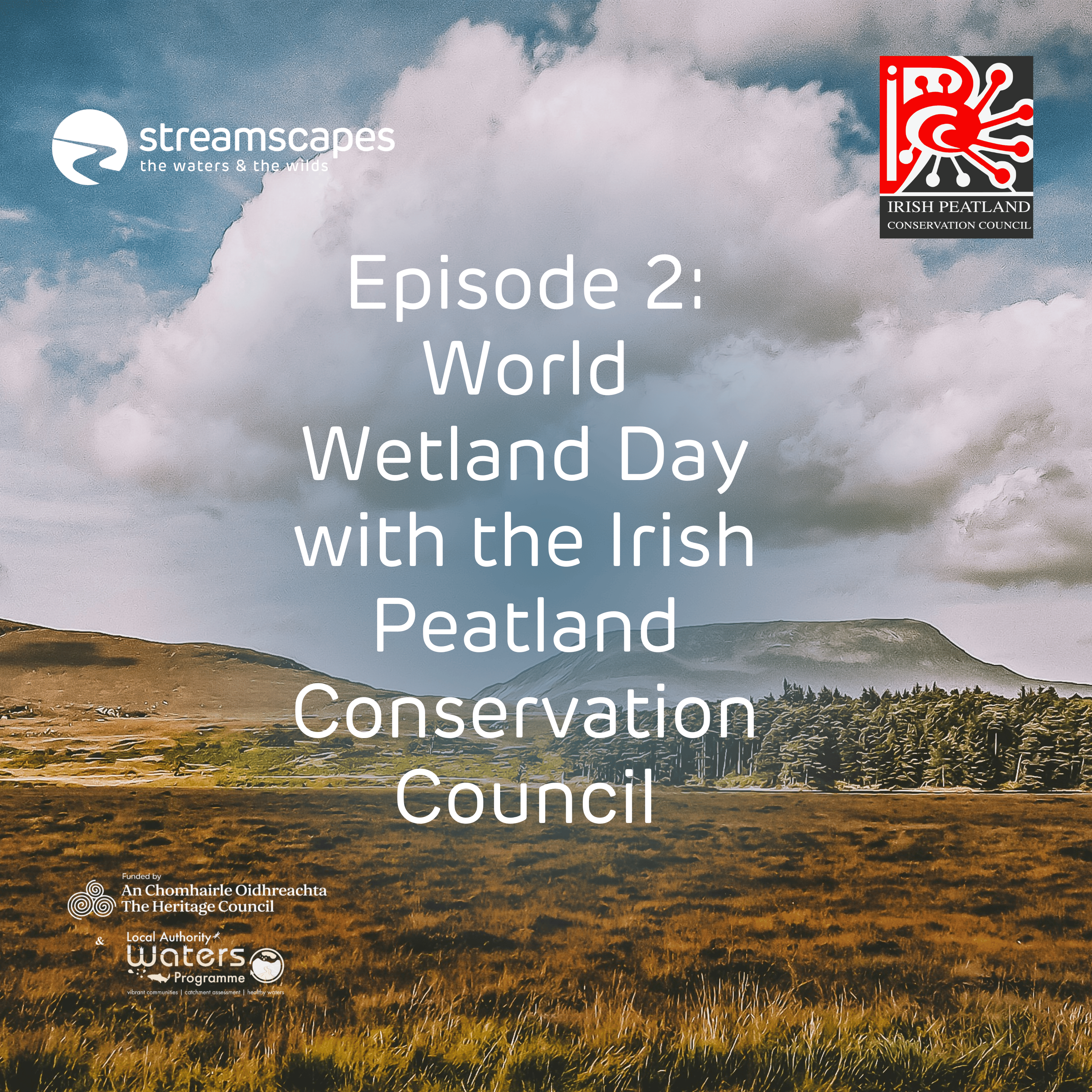 World Wetland Day & the Irish Peatland Conservation Council episode artwork