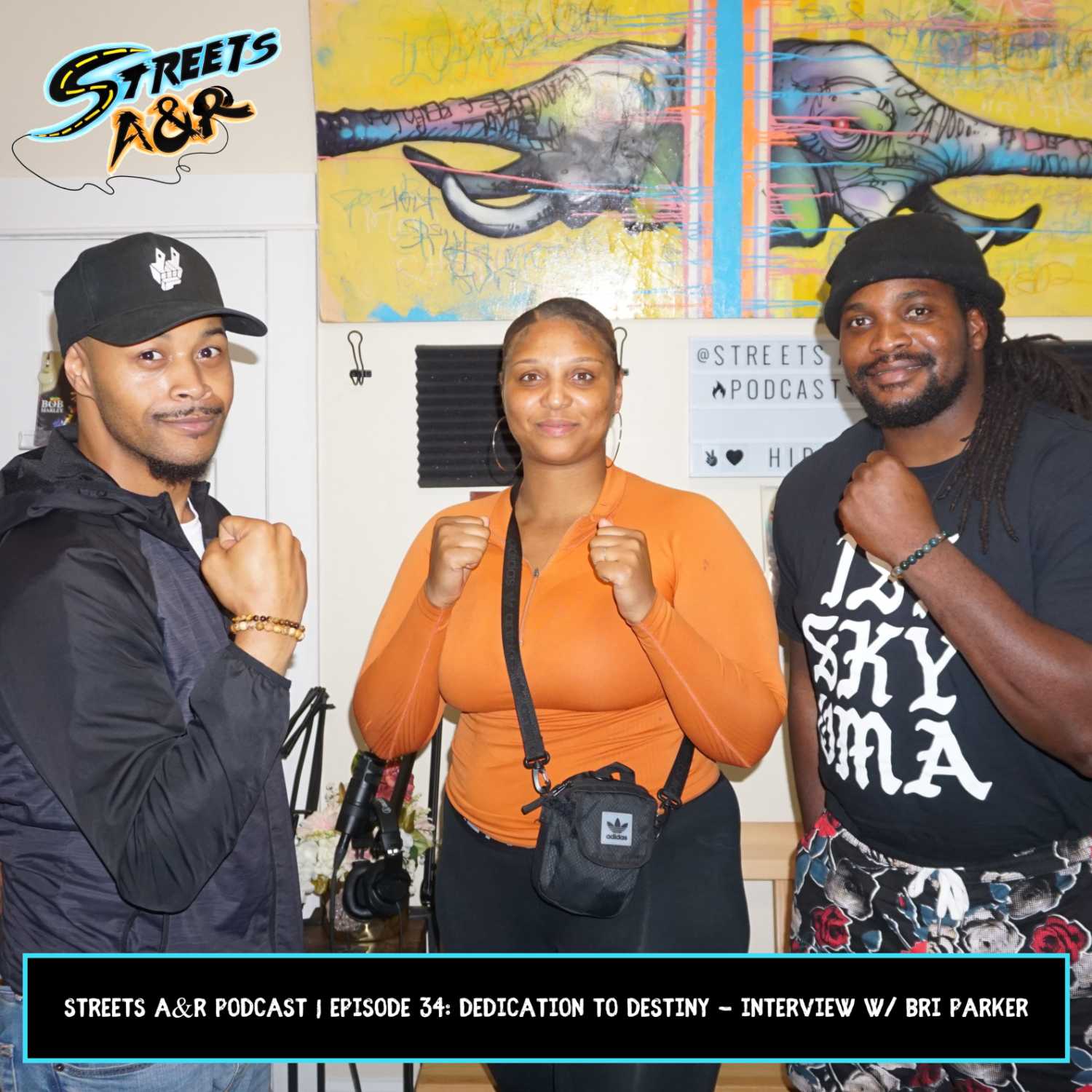 Streets A&R Podcast | Episode 34: Dedicated to Destiny - Interview w/ Bri Parker episode artwork