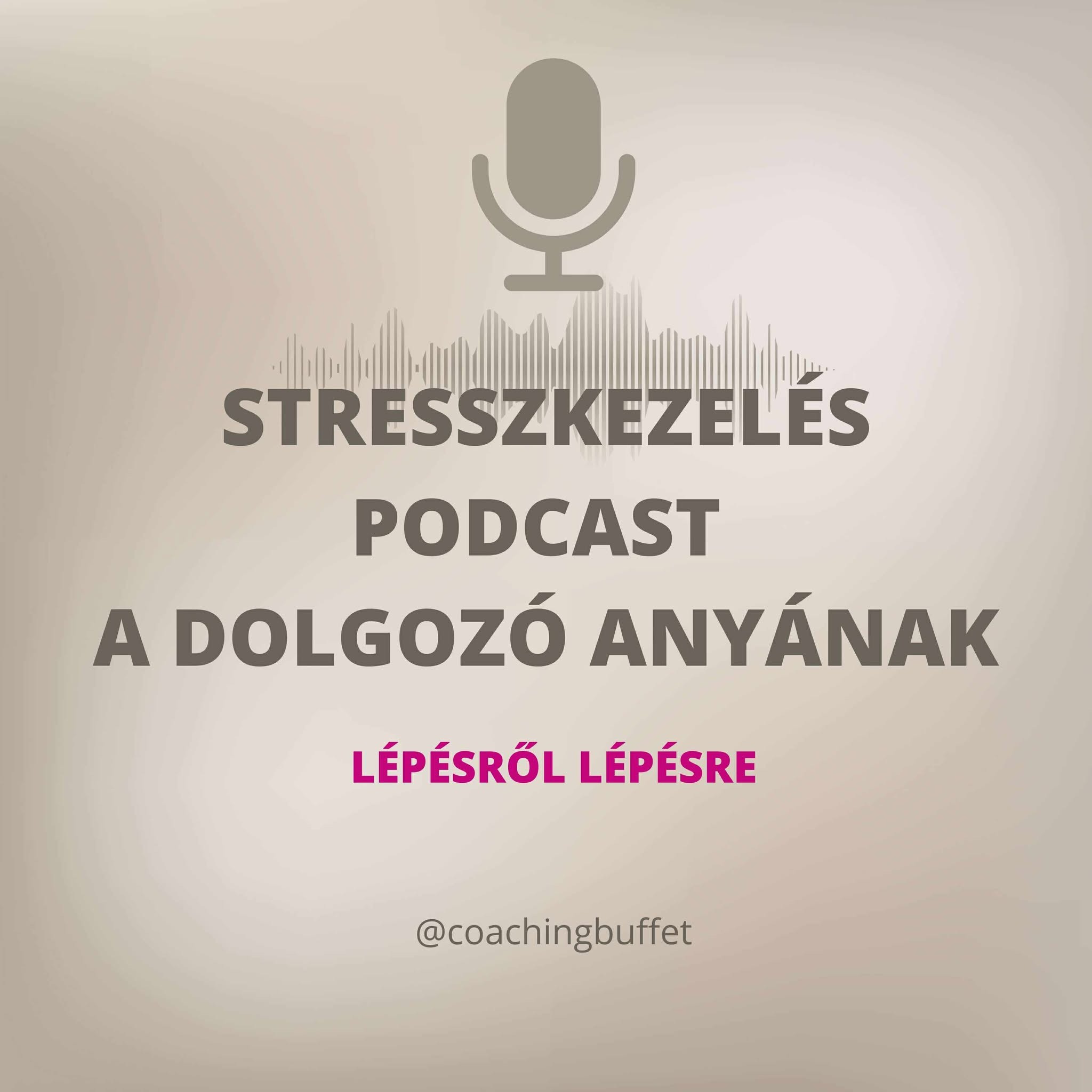 Stresszkezelés - A Dolgozó Anya Dilemmája