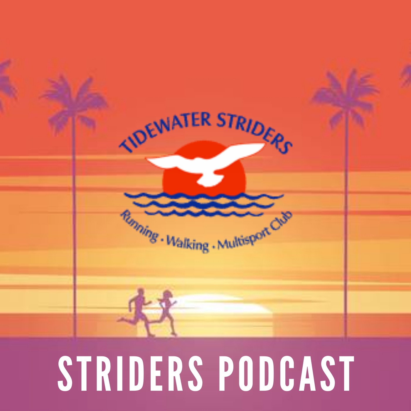 Episode 2 - Randy Cook