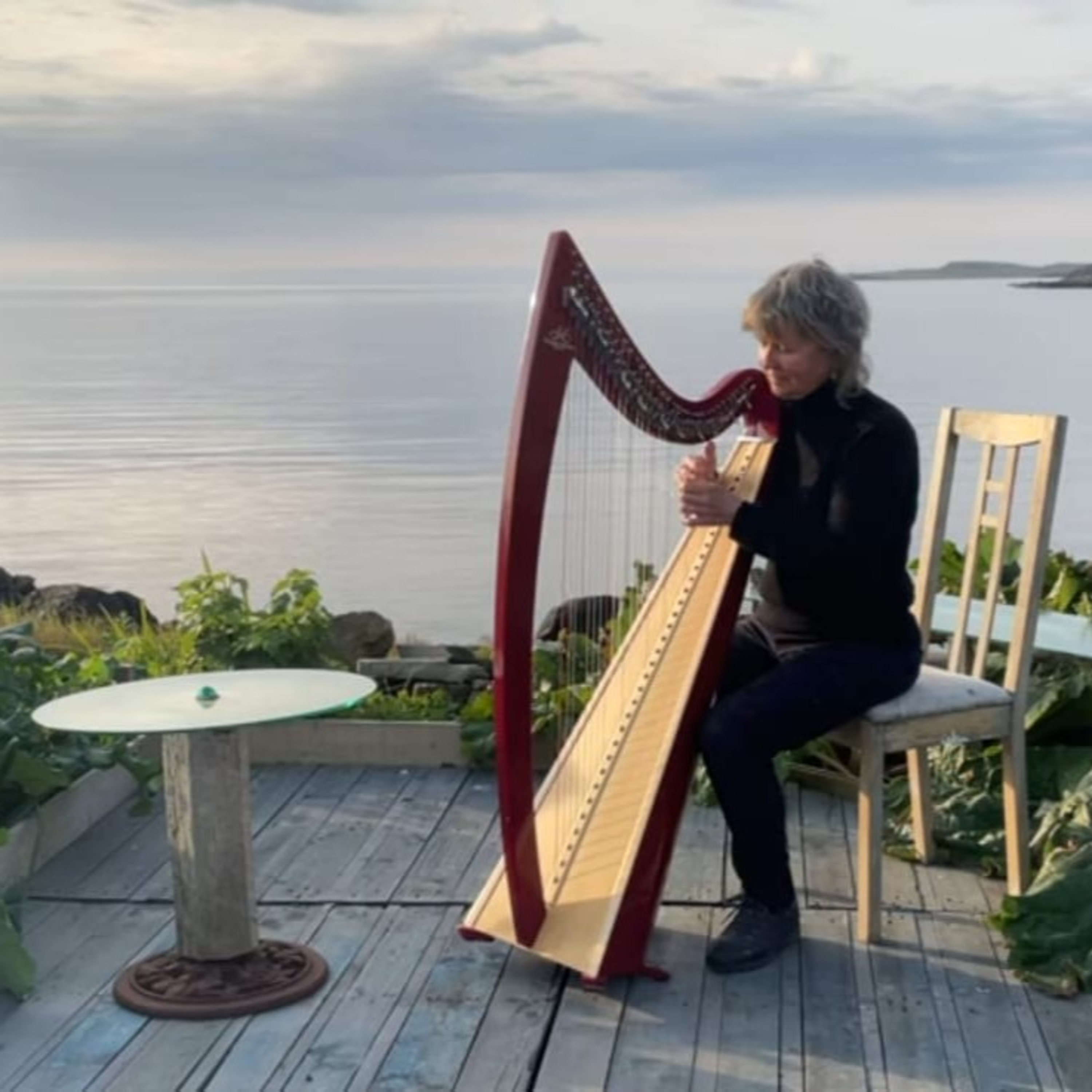 Frome Notes to Nuance: Sunita Staneslow’s Harp Story: A Journey Through Music, Heart, Improvisation and beauty of simplicity