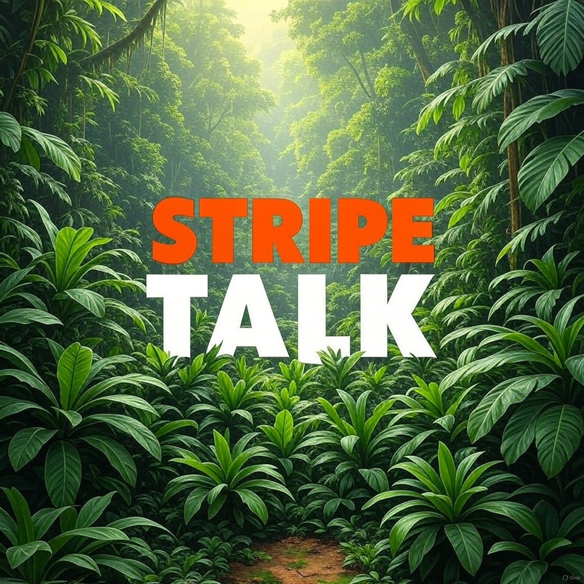 stripe talk episode 3 featuring tycen anderson