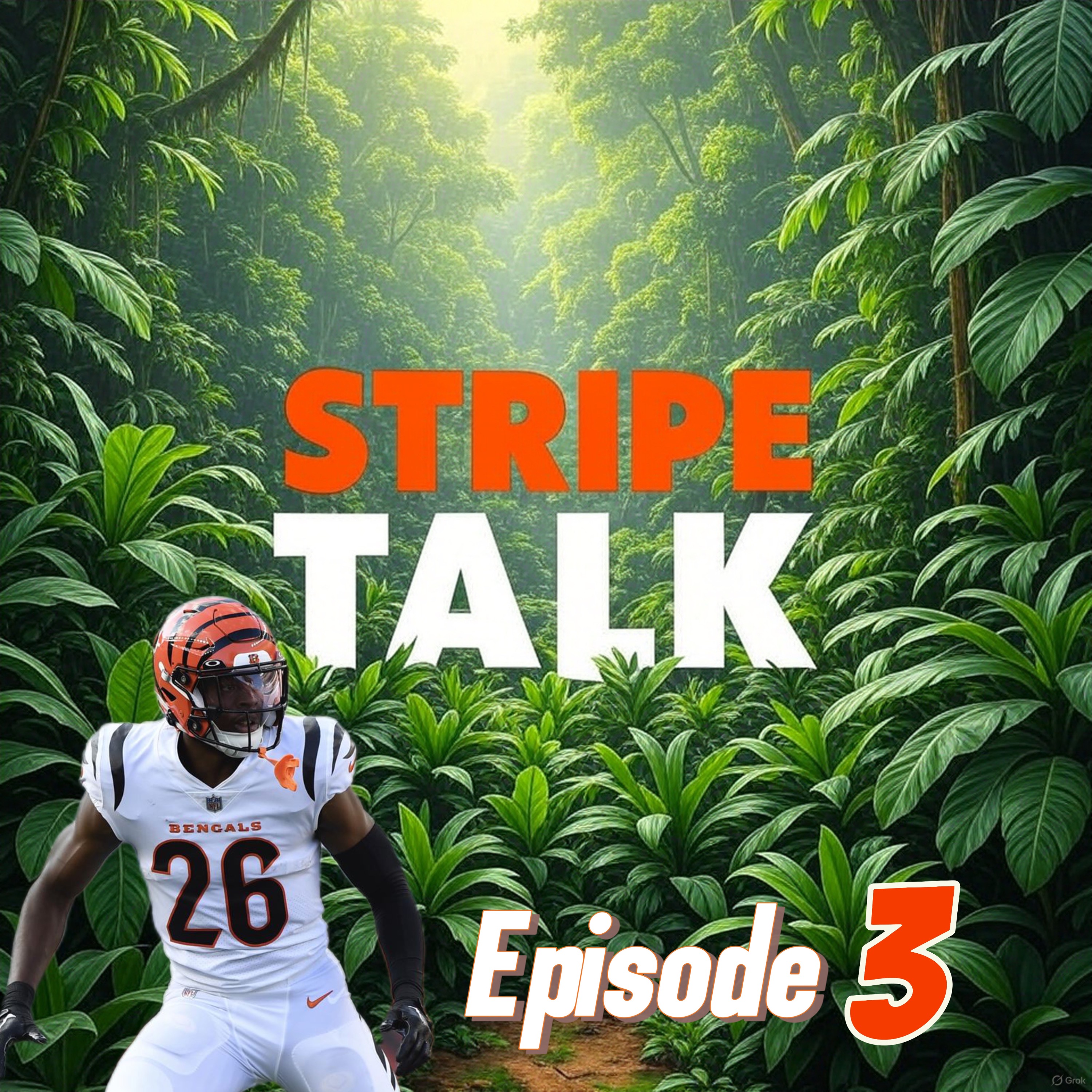 stripe talk episode 3 featuring tycen anderson