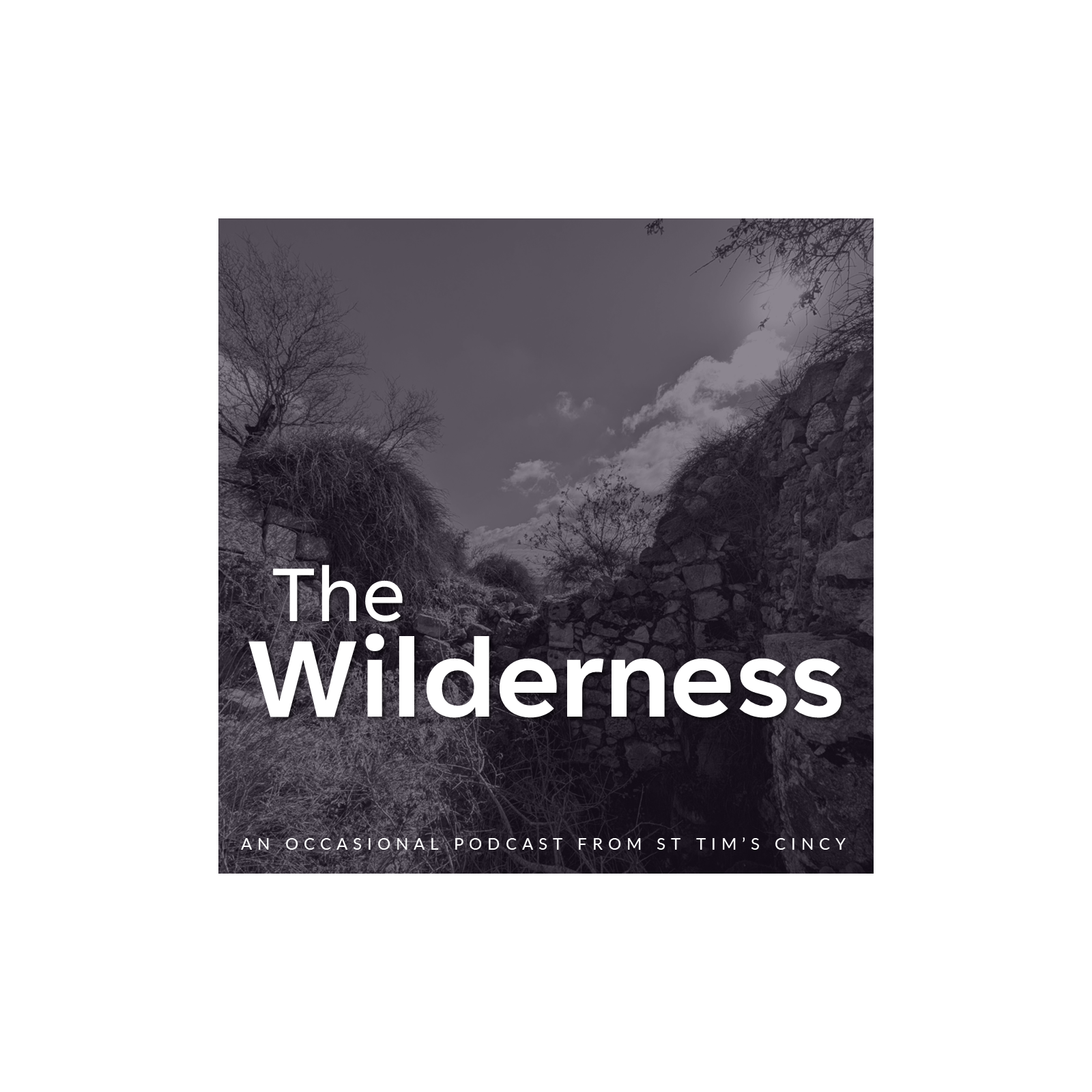 The Wilderness - Episode 4 episode artwork