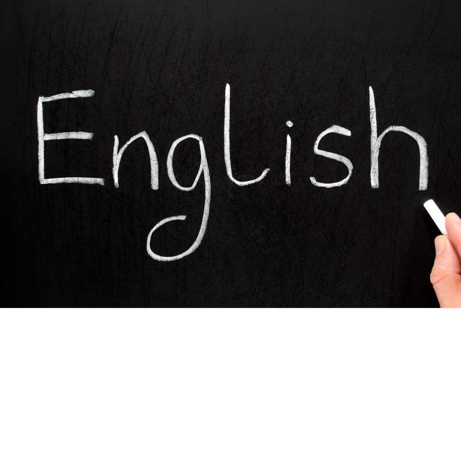 The Structure and Function of Modern English