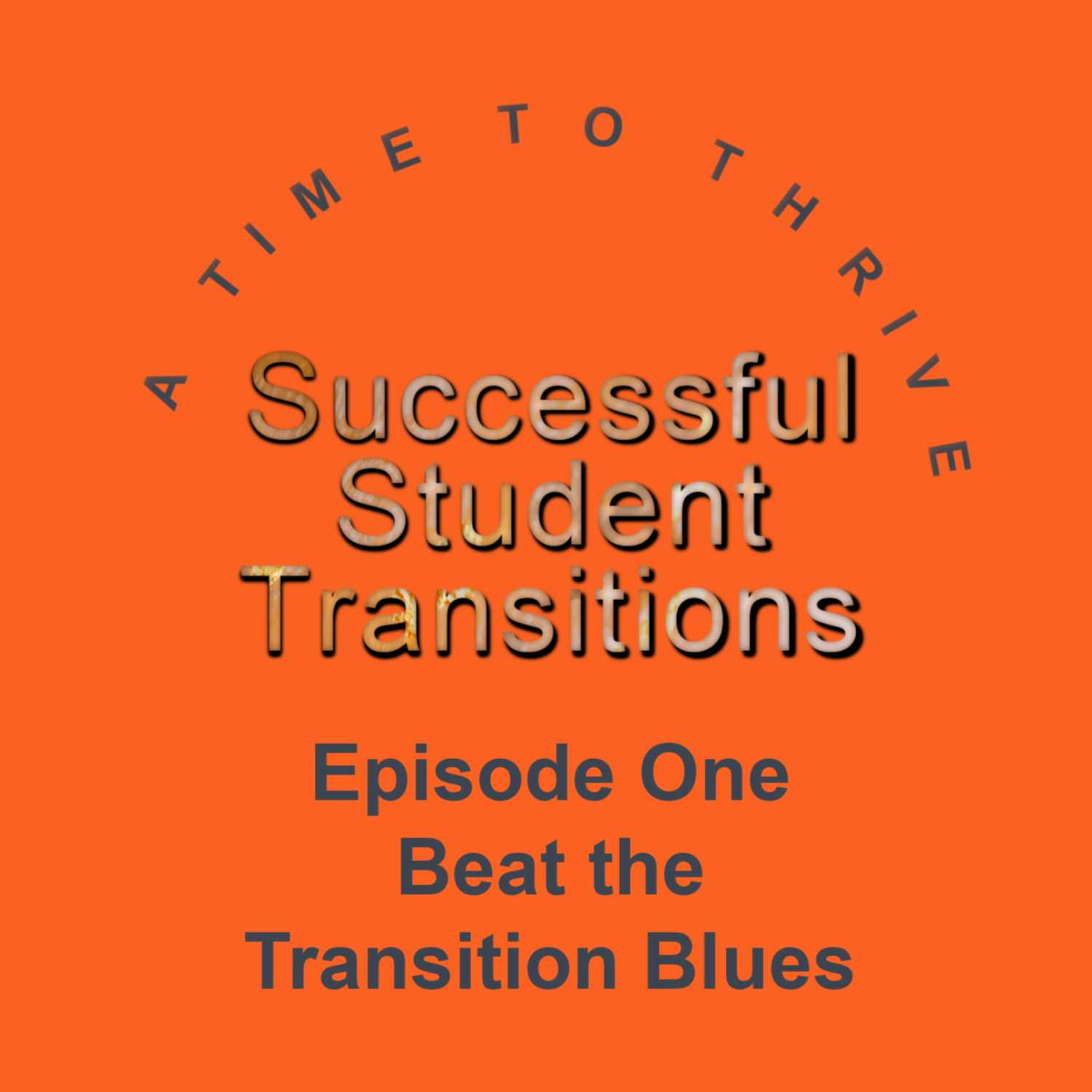 Successful Student Transitions - A Time to Thrive