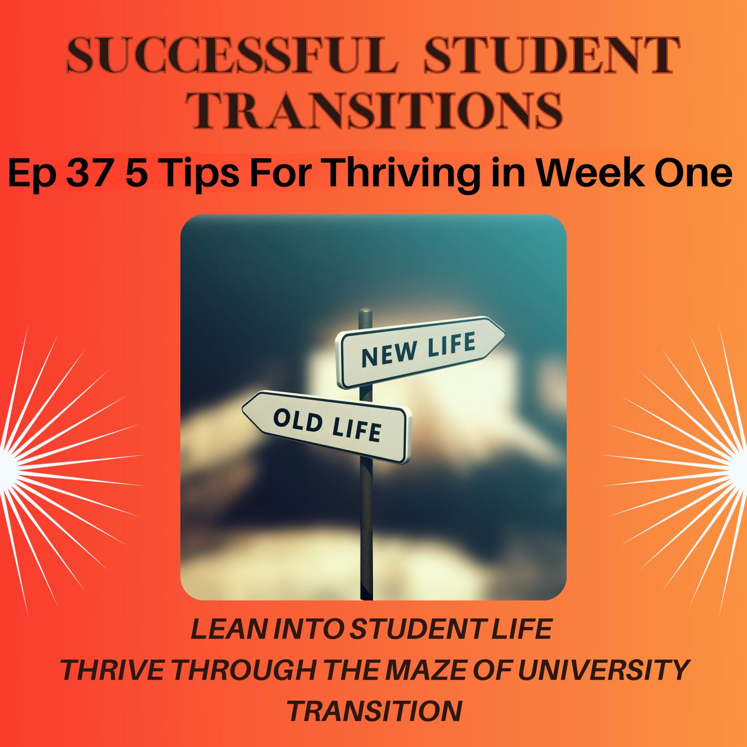 Successful Student Transitions - A Time to Thrive