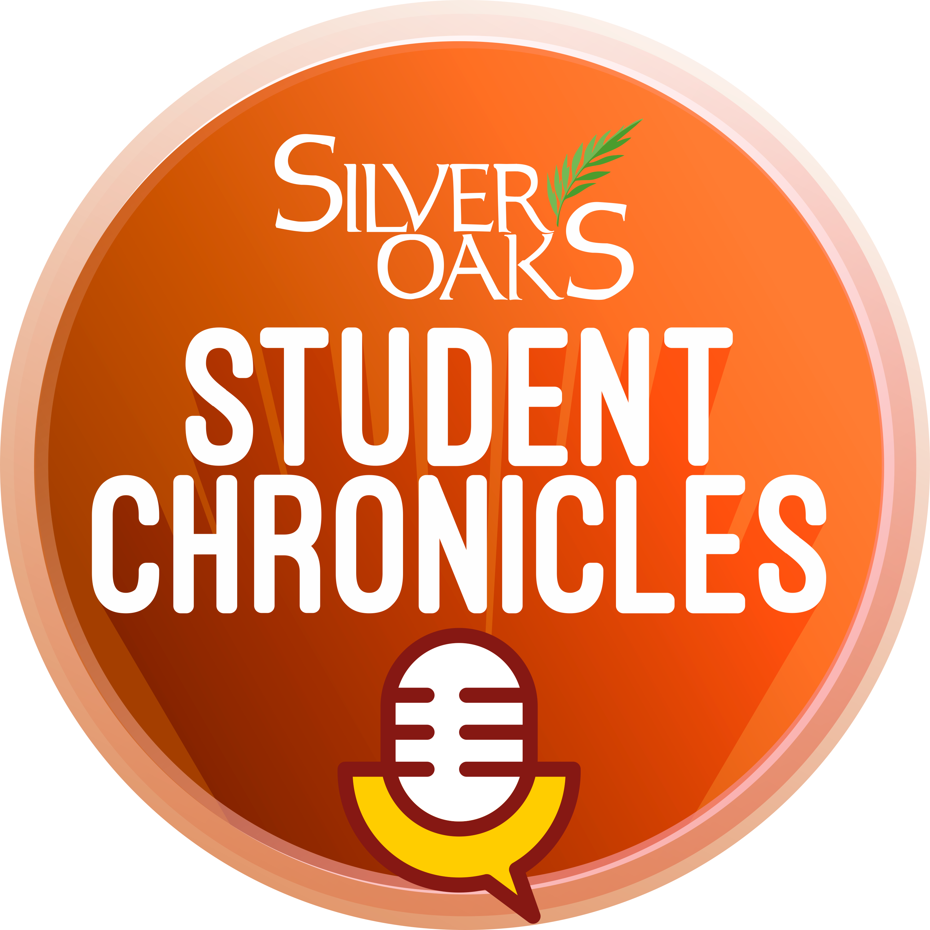 Student Chronicles: Journeys in Learning