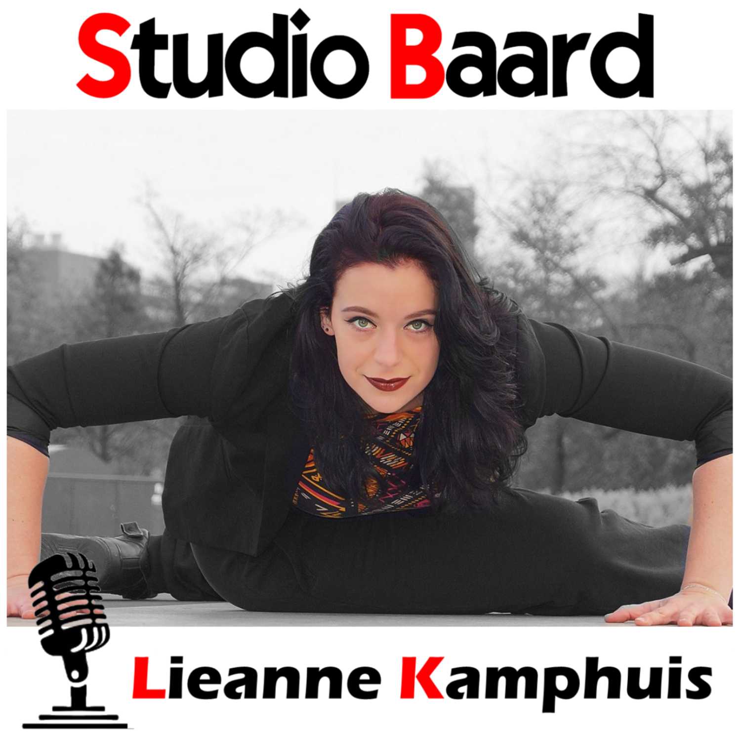 Studio Baard