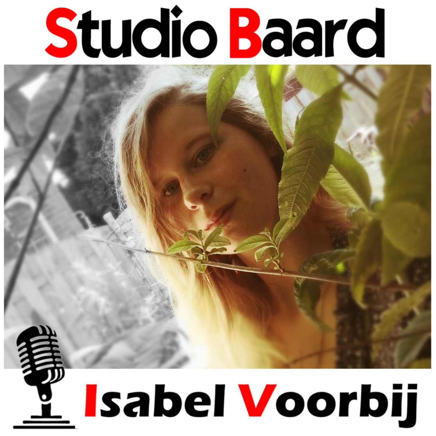 Studio Baard