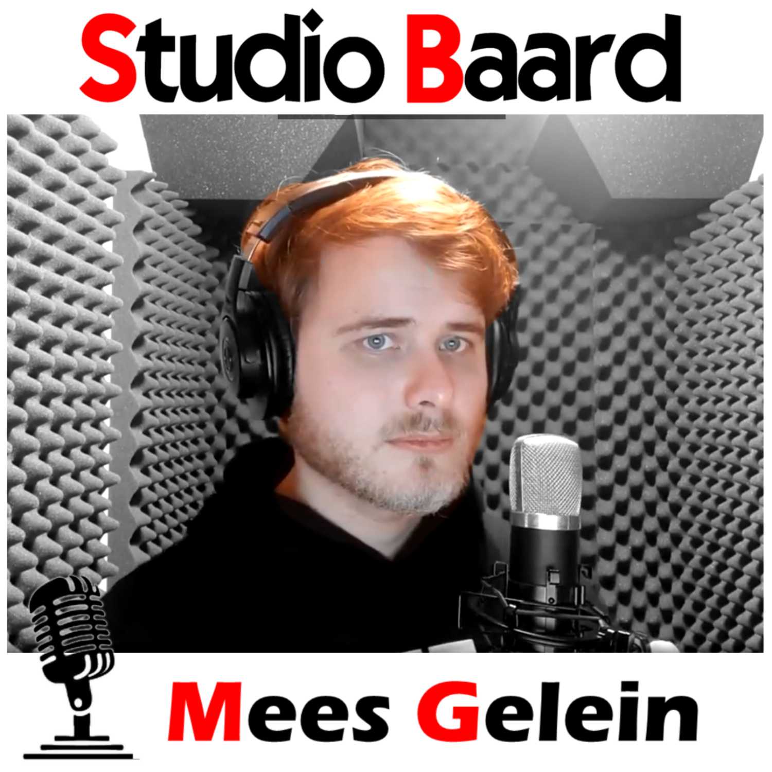 Studio Baard
