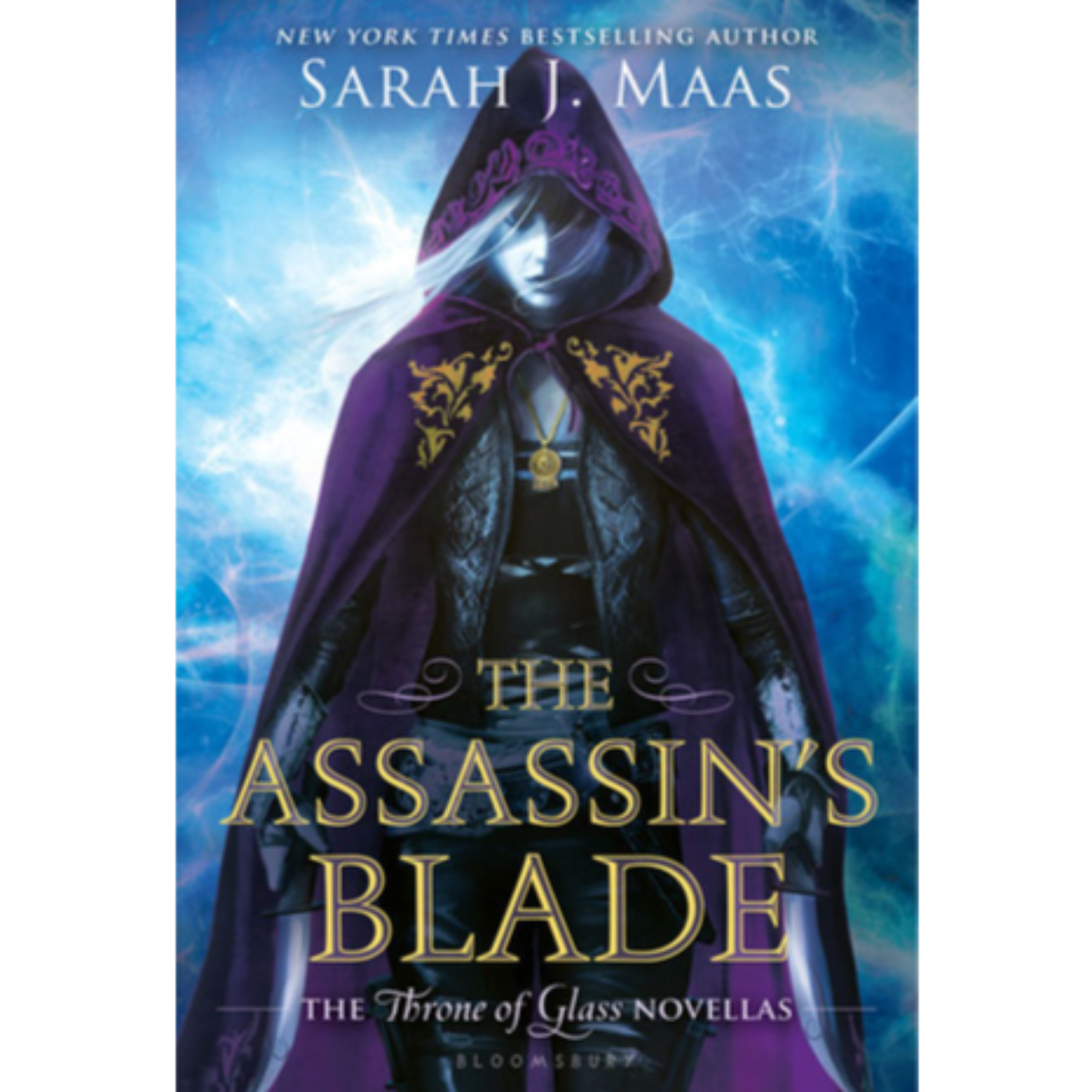 The_Assassin 01_Throne of Glass_Series