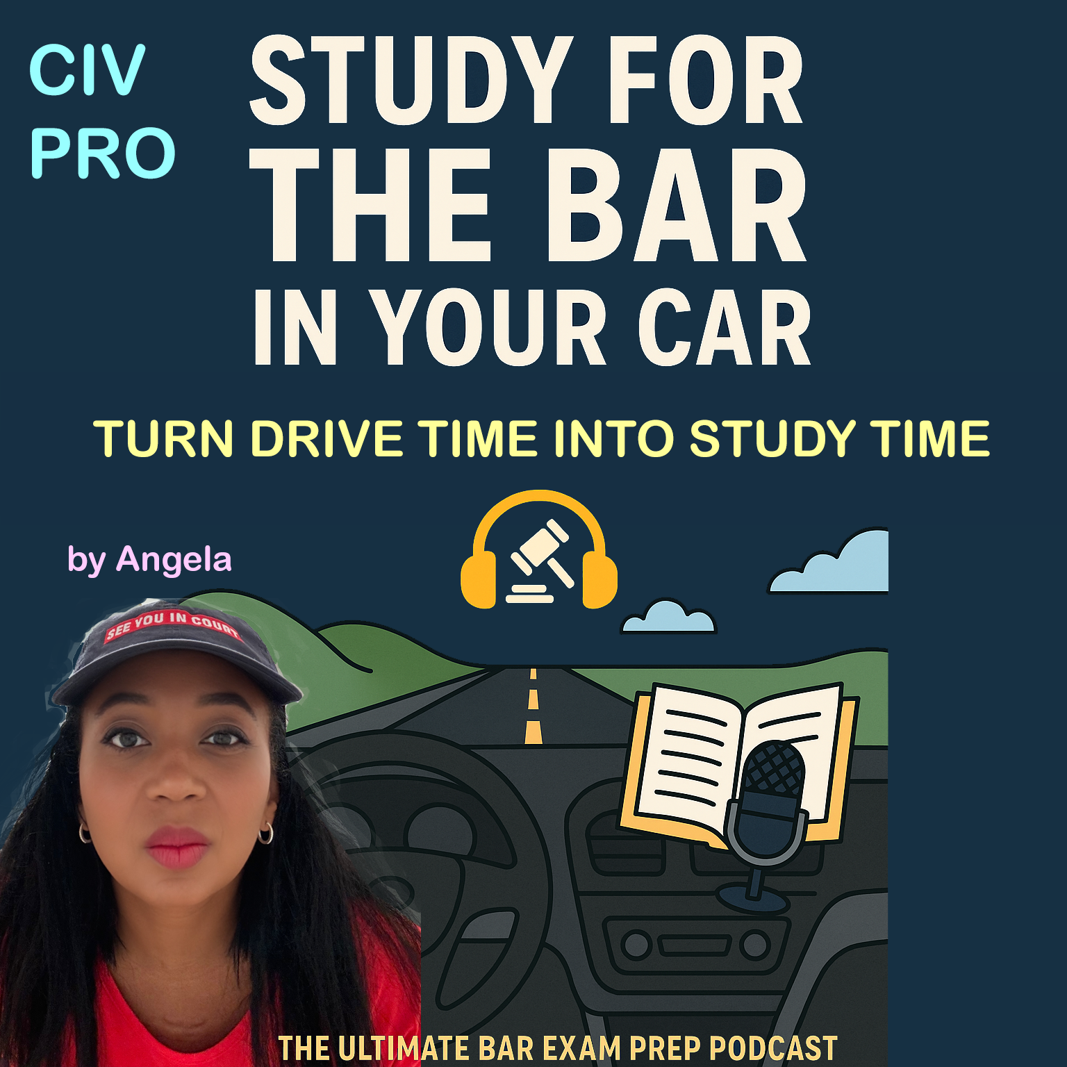 Study for the Bar in Your Car