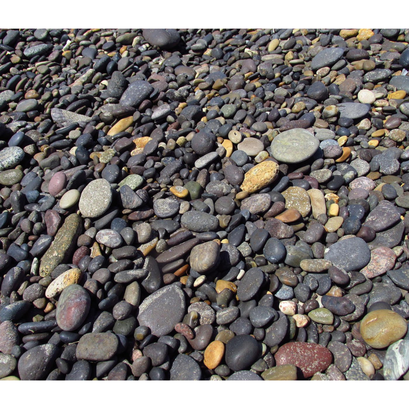 Study Skills 101: Grit and the power of perseverance