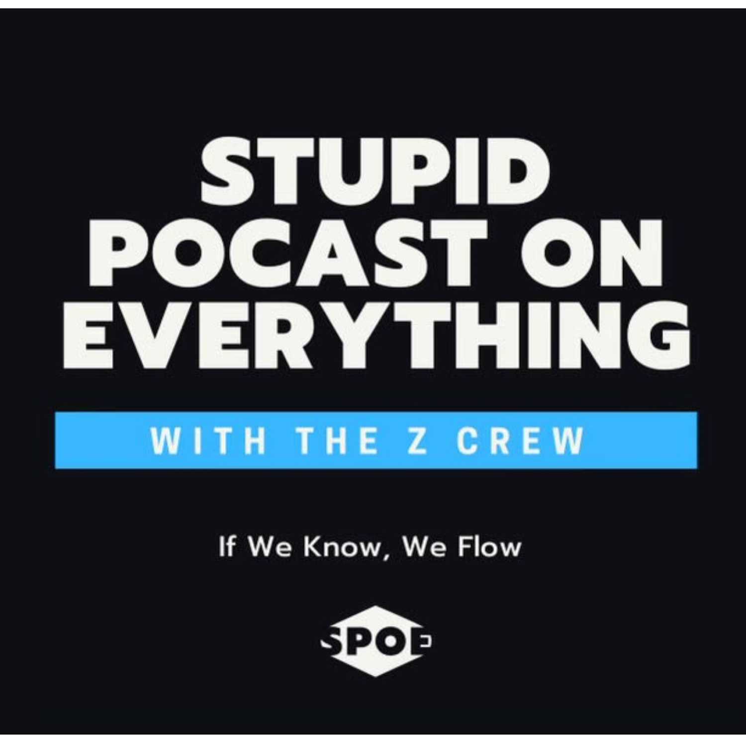 Stupid Podcast on Everything