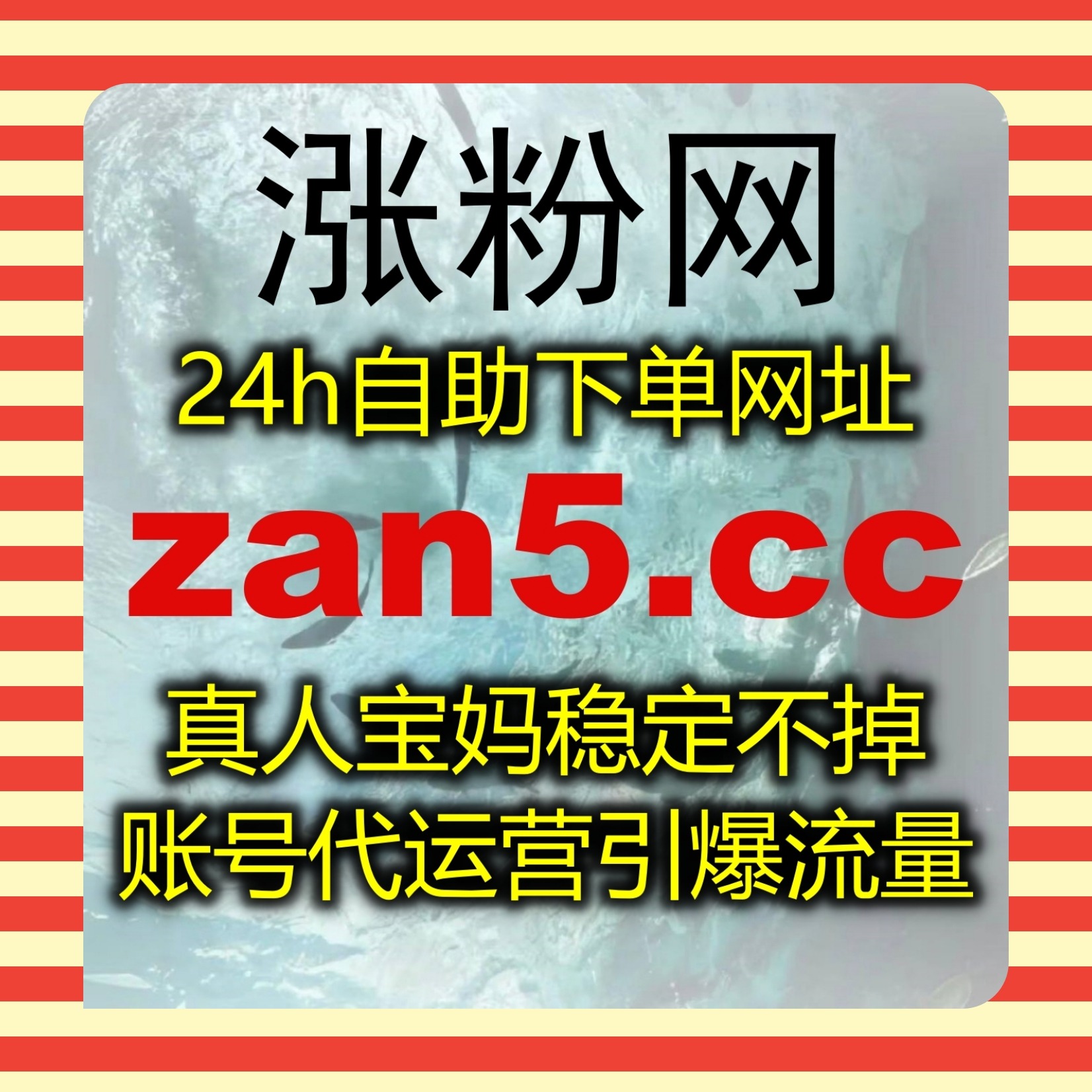 流量提升护航多平台内容，助力公众号阅读、评论与转发数据稳步增长 episode artwork