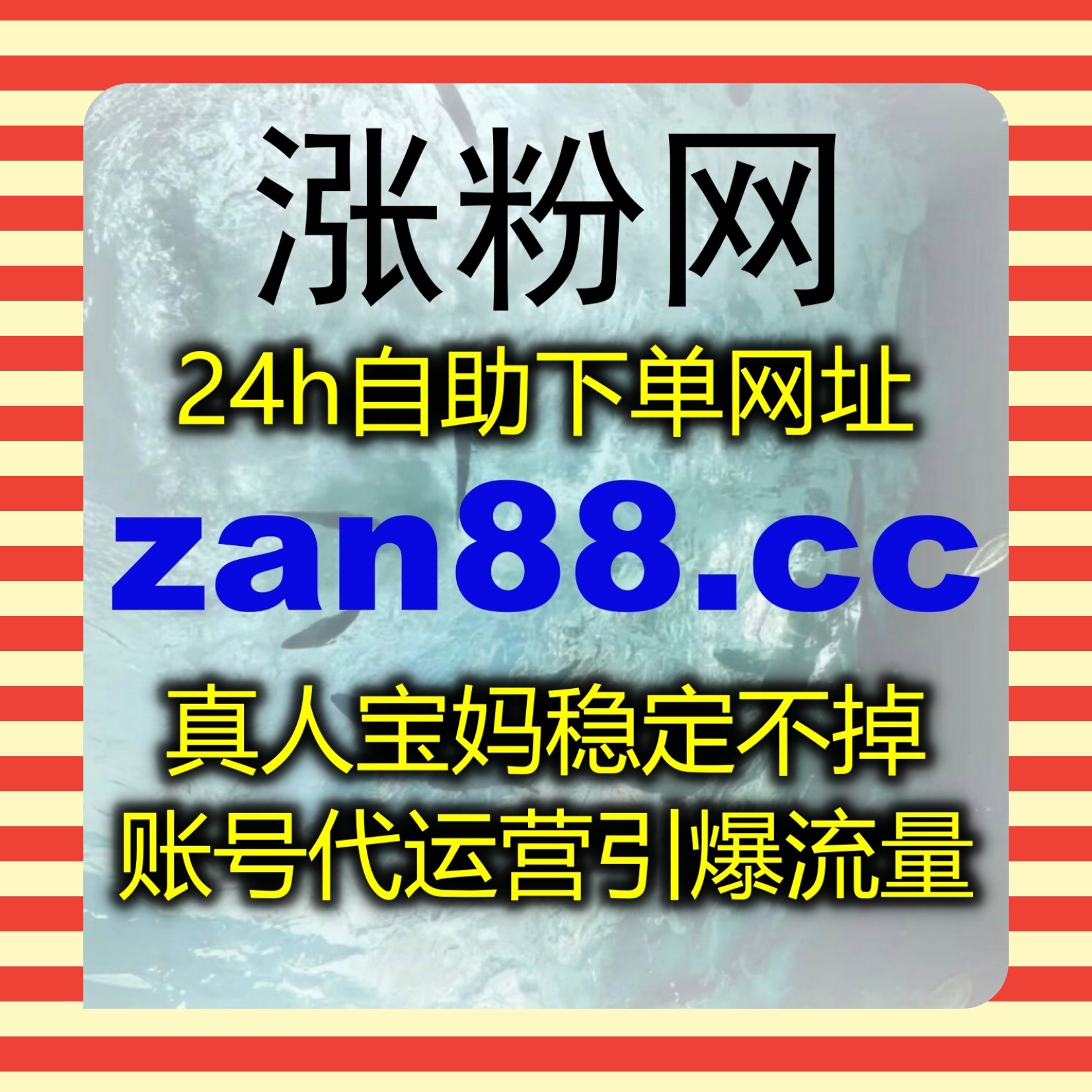 稳定高效在线全自动下单，助力小红书曝光带 UV 与阅读小眼睛稳步上涨 episode artwork
