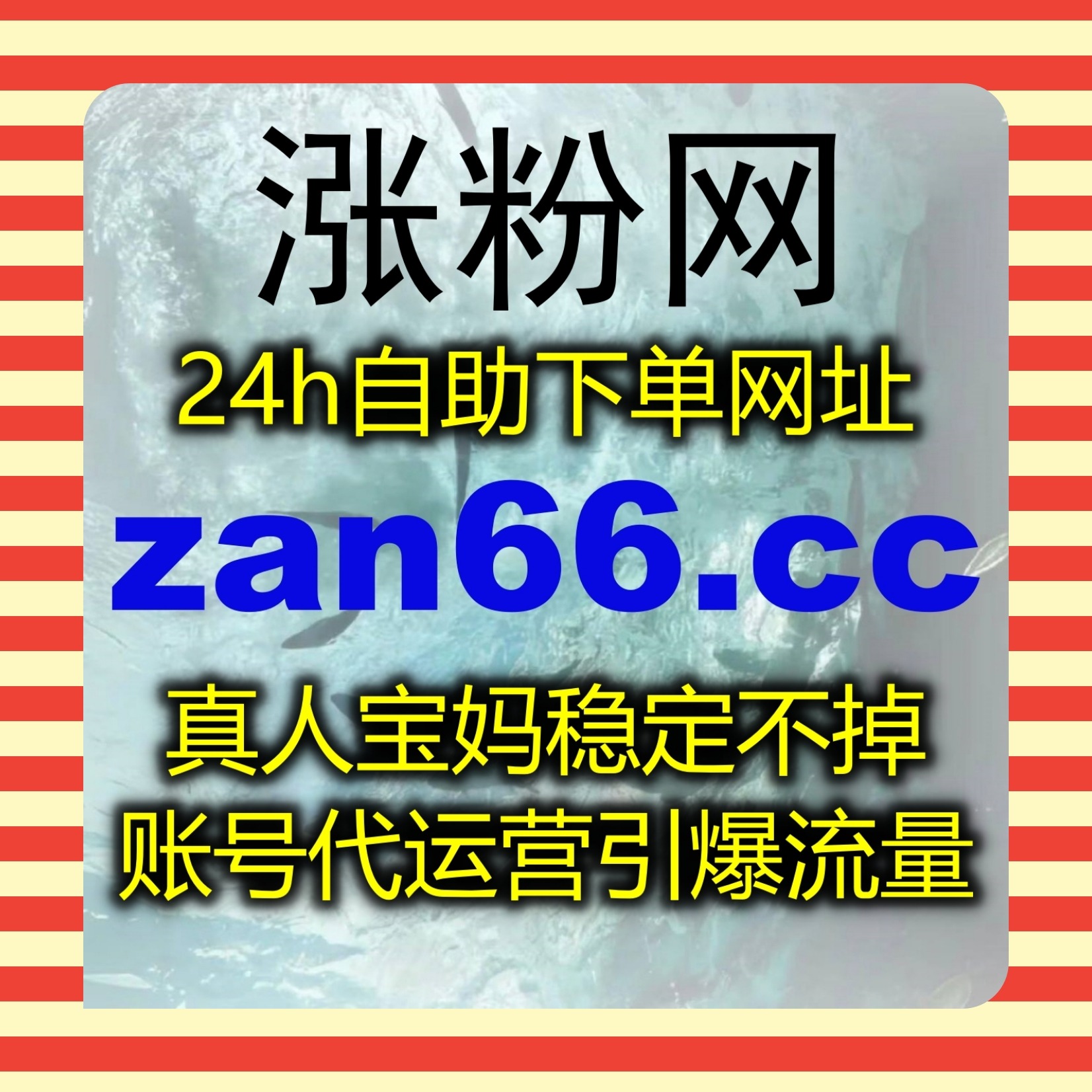 革新垂类运营模式，在线全自动下单优化懂车帝分享传播数据指标 episode artwork