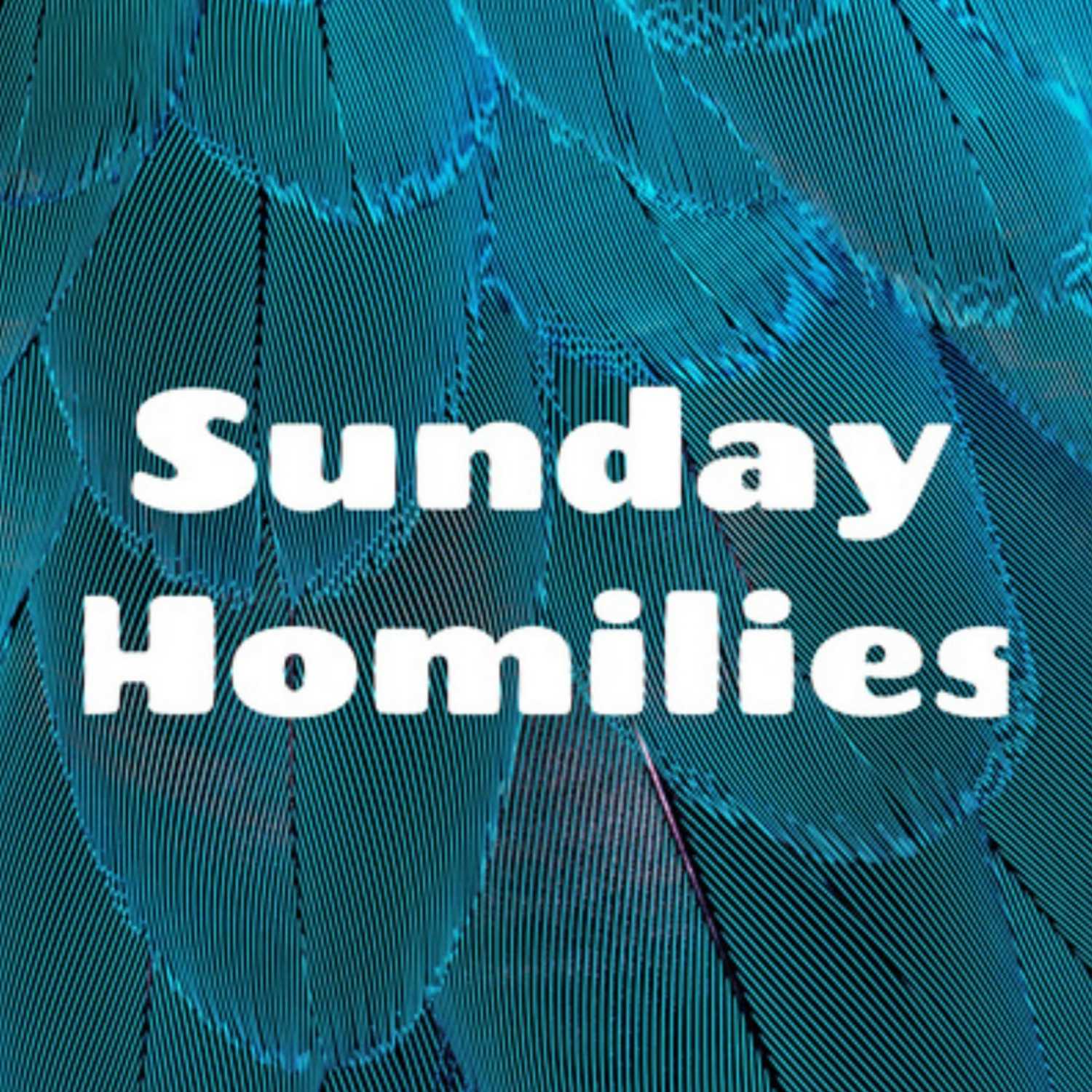 Sunday Homily