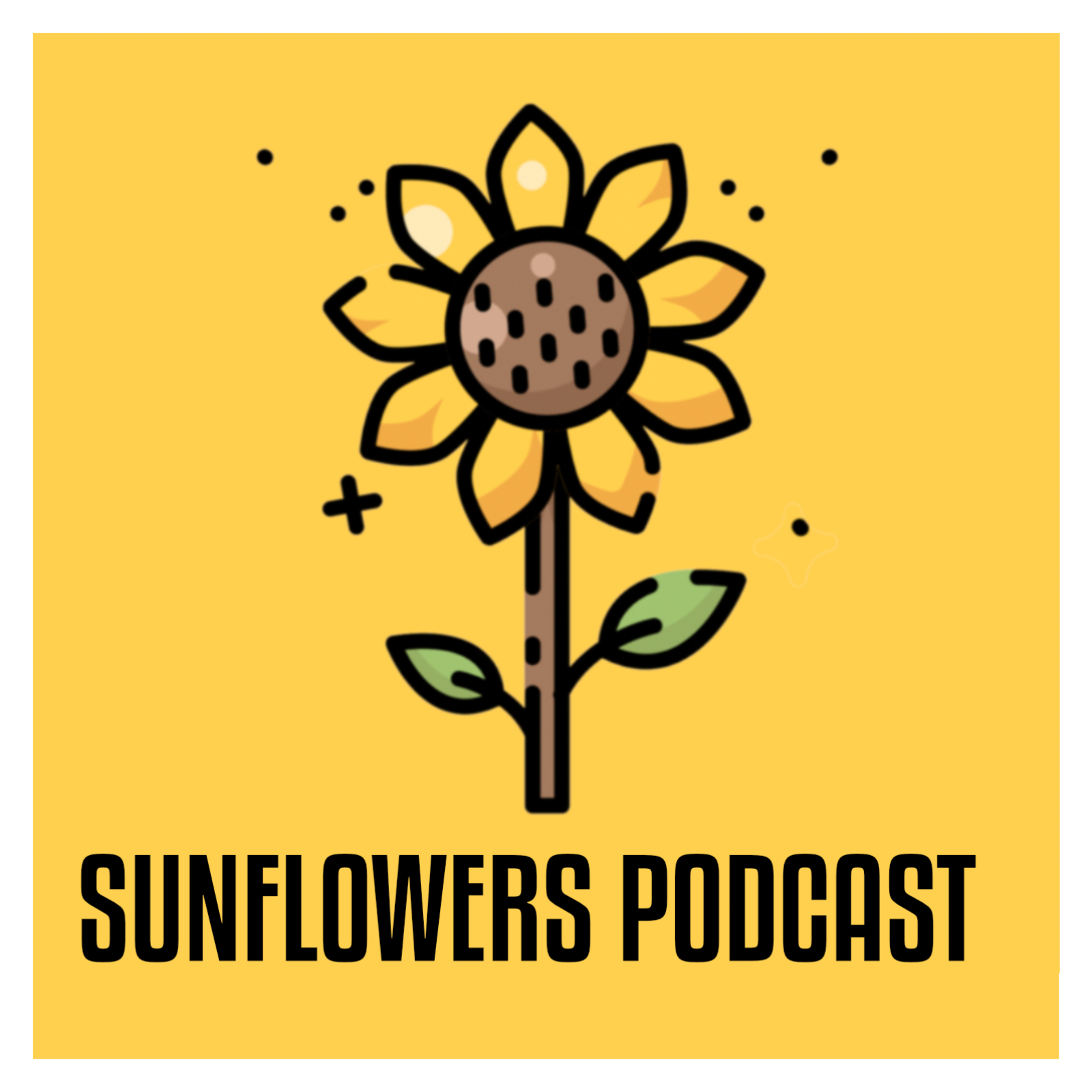 Sunflowers Podcast with Jane: Real Stories of Women Reinventing Life in France 🌻