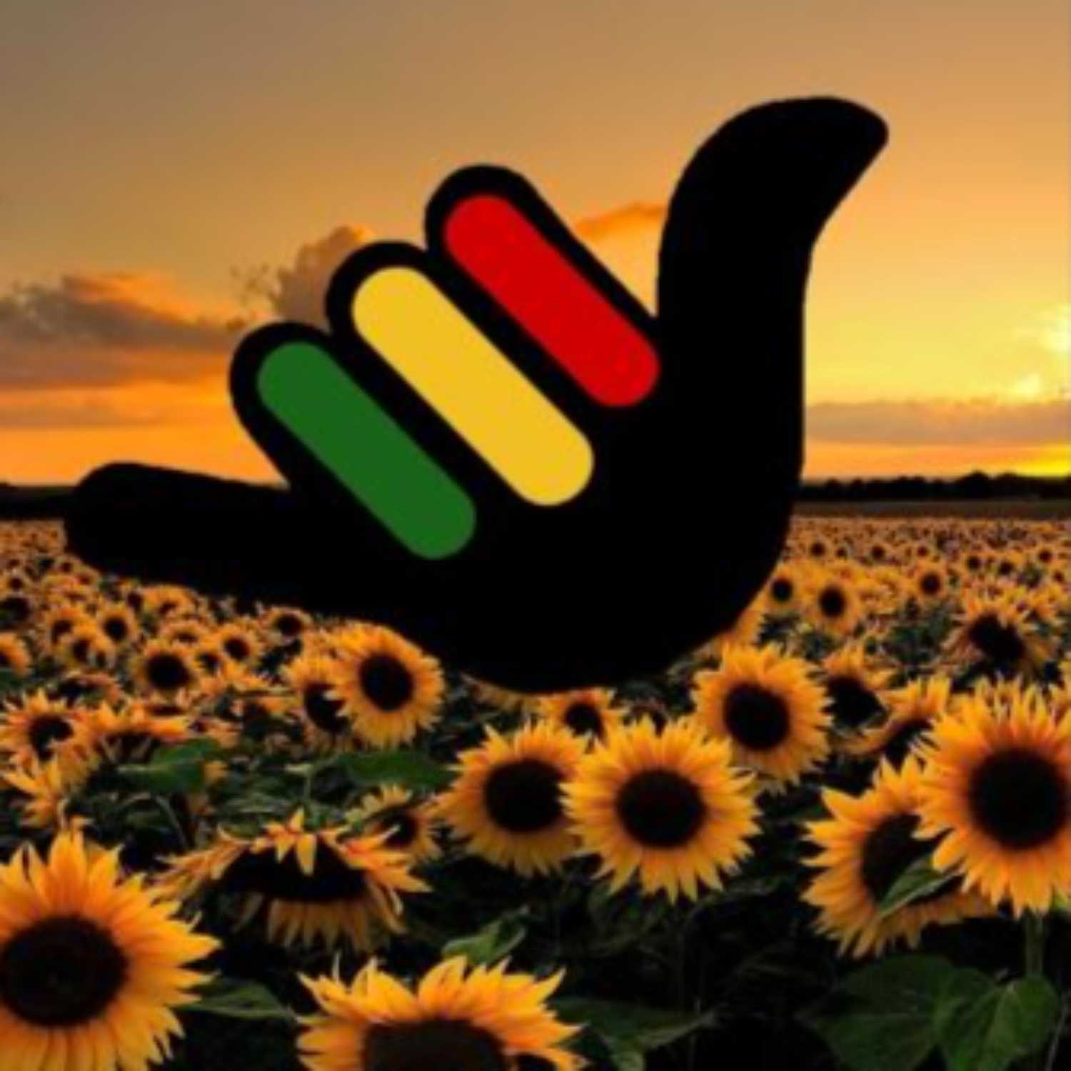 ~SunFlower-Seedz...Planting Seedz & Watching People Grow!~ podcast artwork