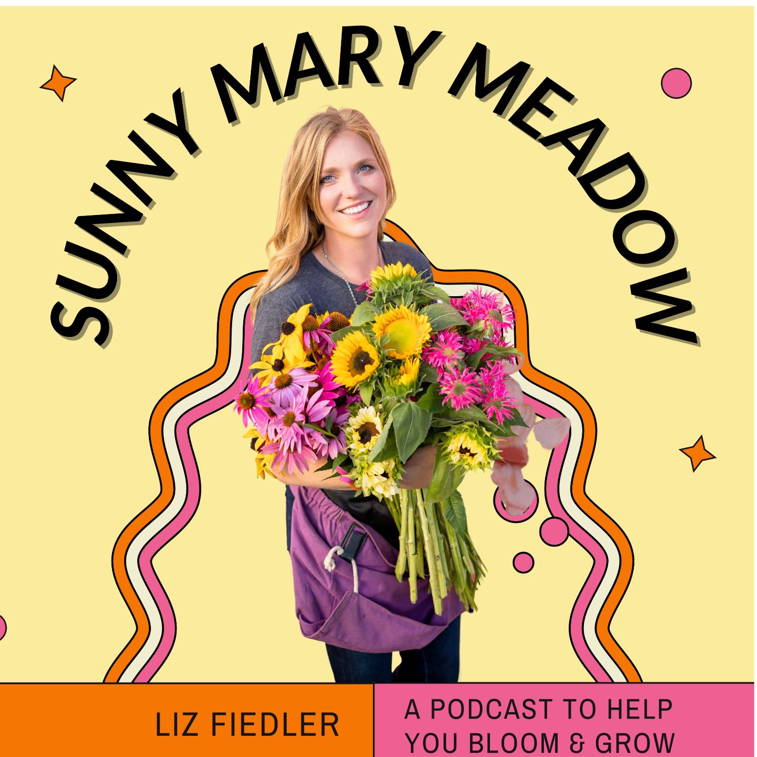 cover of episode The Sunny Mary Meadow Farm Story